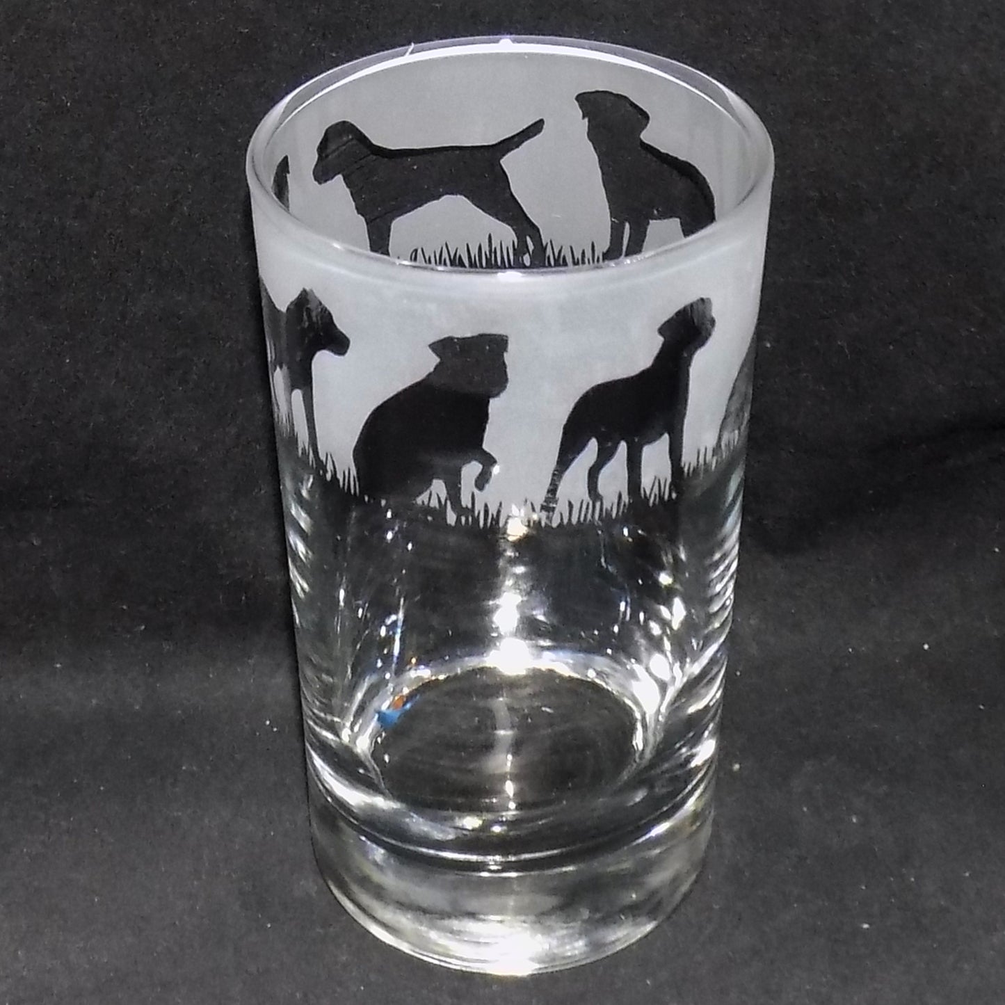 Border Terrier Tall Glass