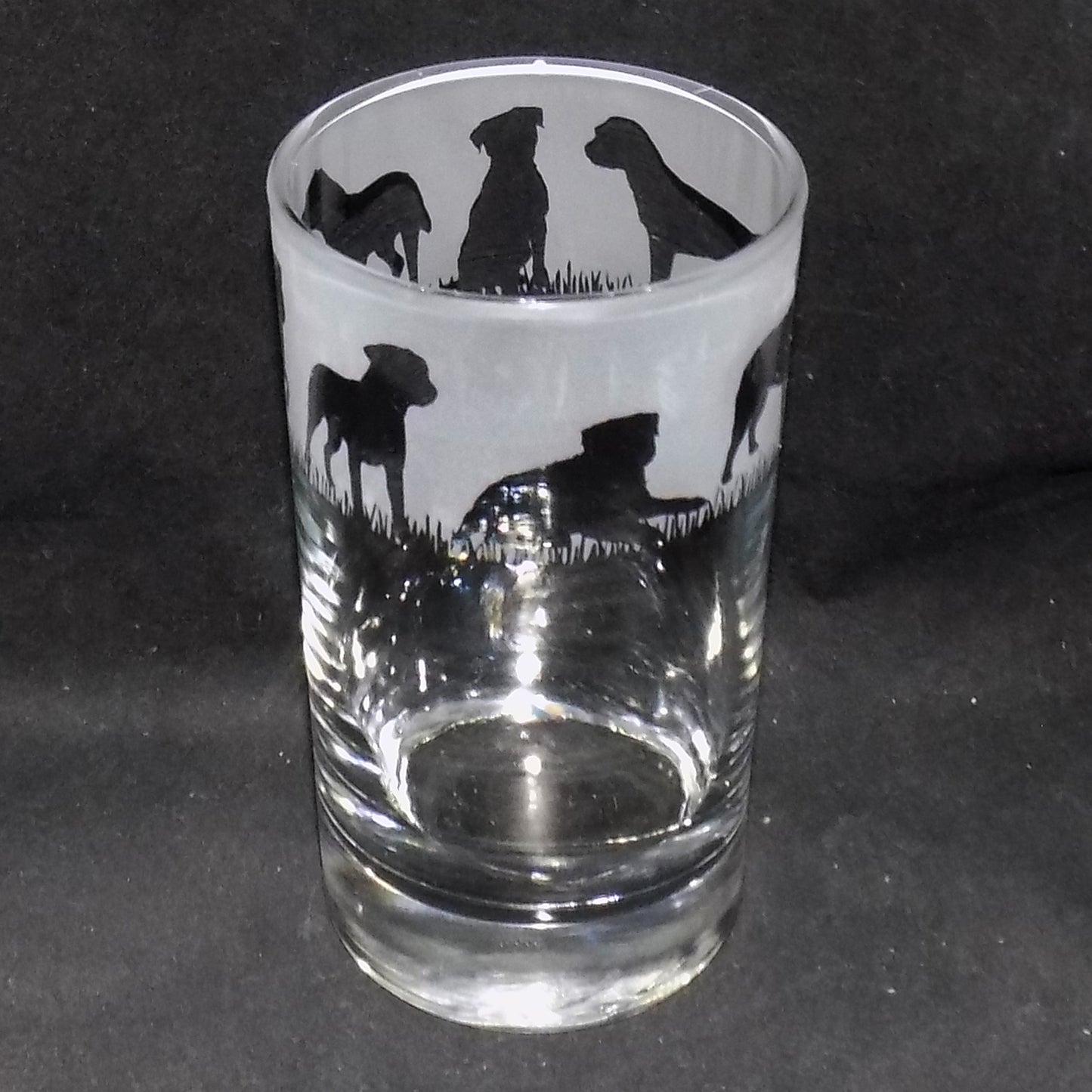 Border Terrier Tall Glass