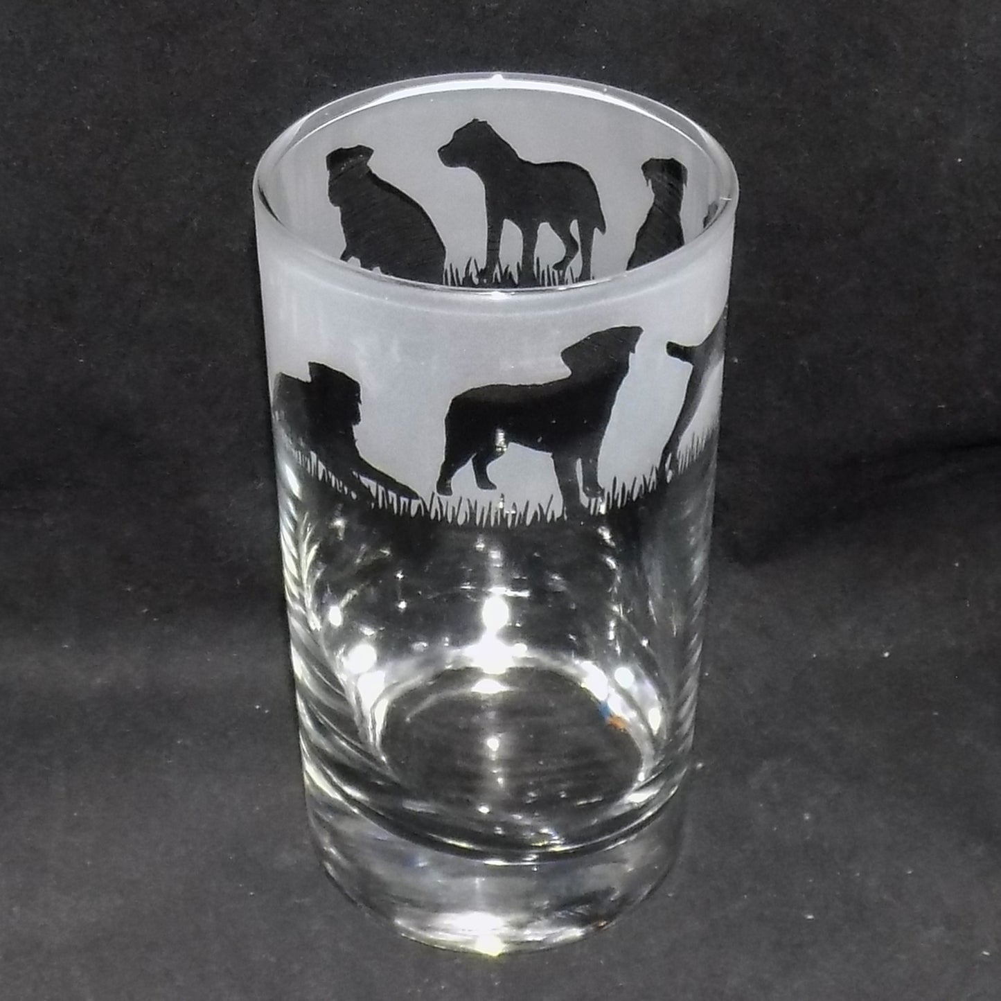 Border Terrier Tall Glass
