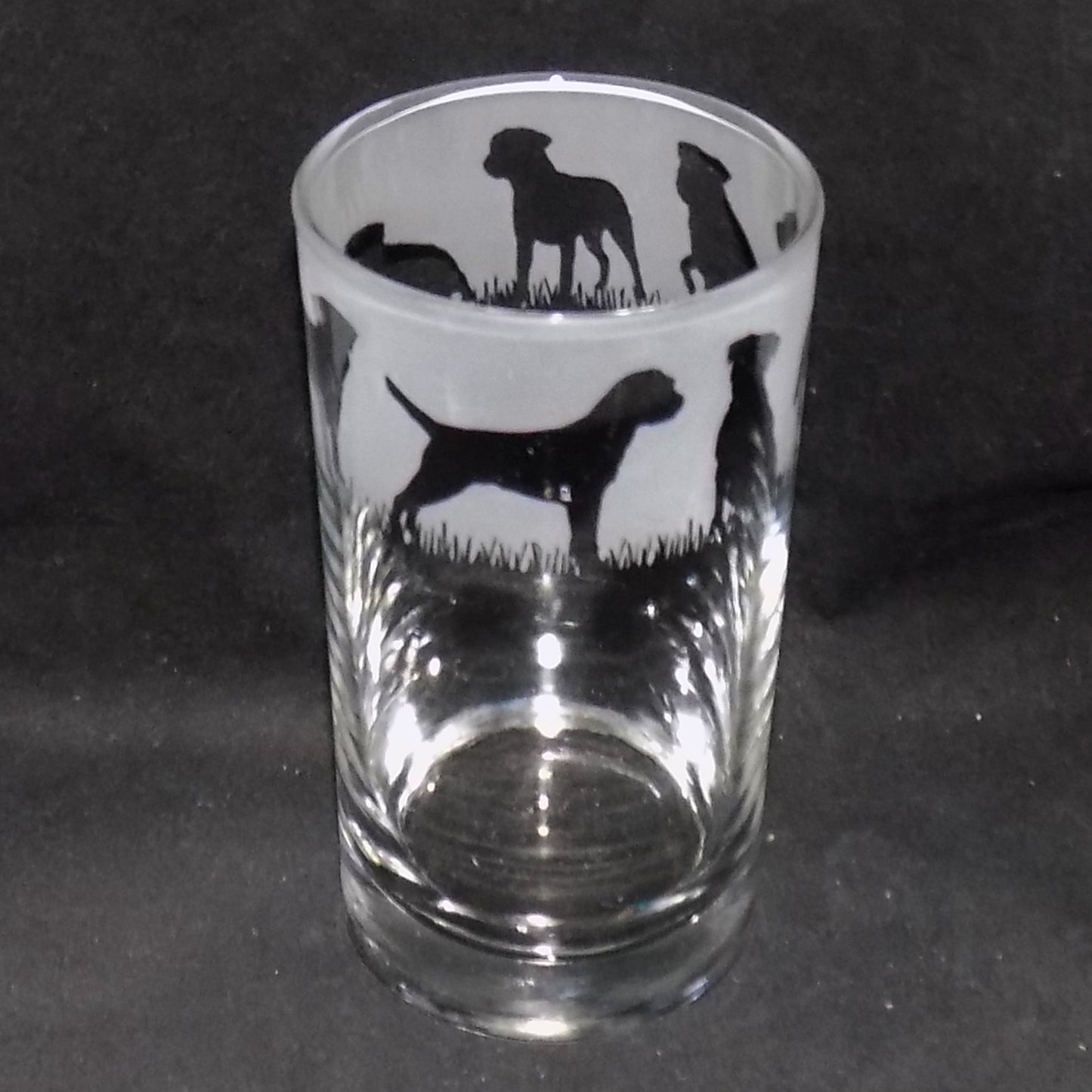 Border Terrier Tall Glass