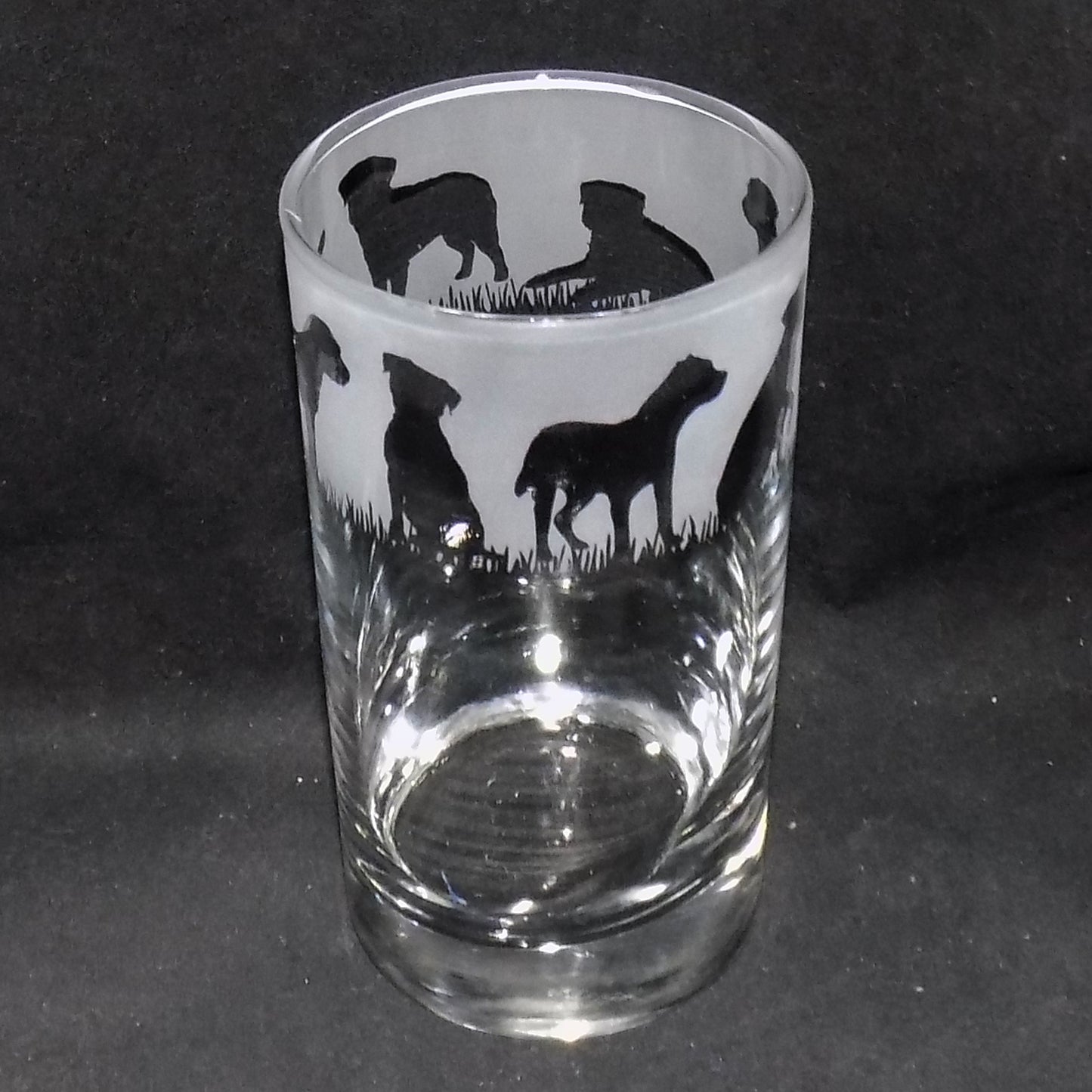 Border Terrier Tall Glass