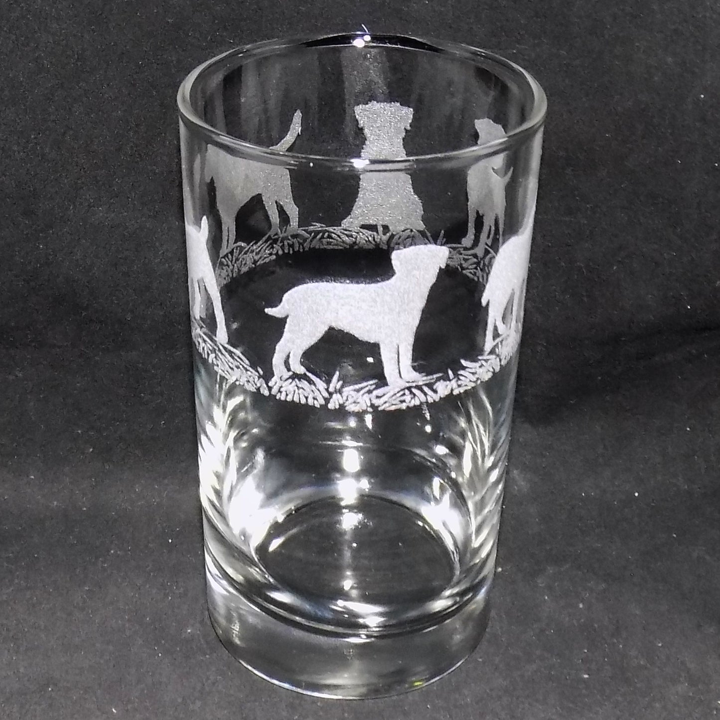 Border Terrier Tall Glass