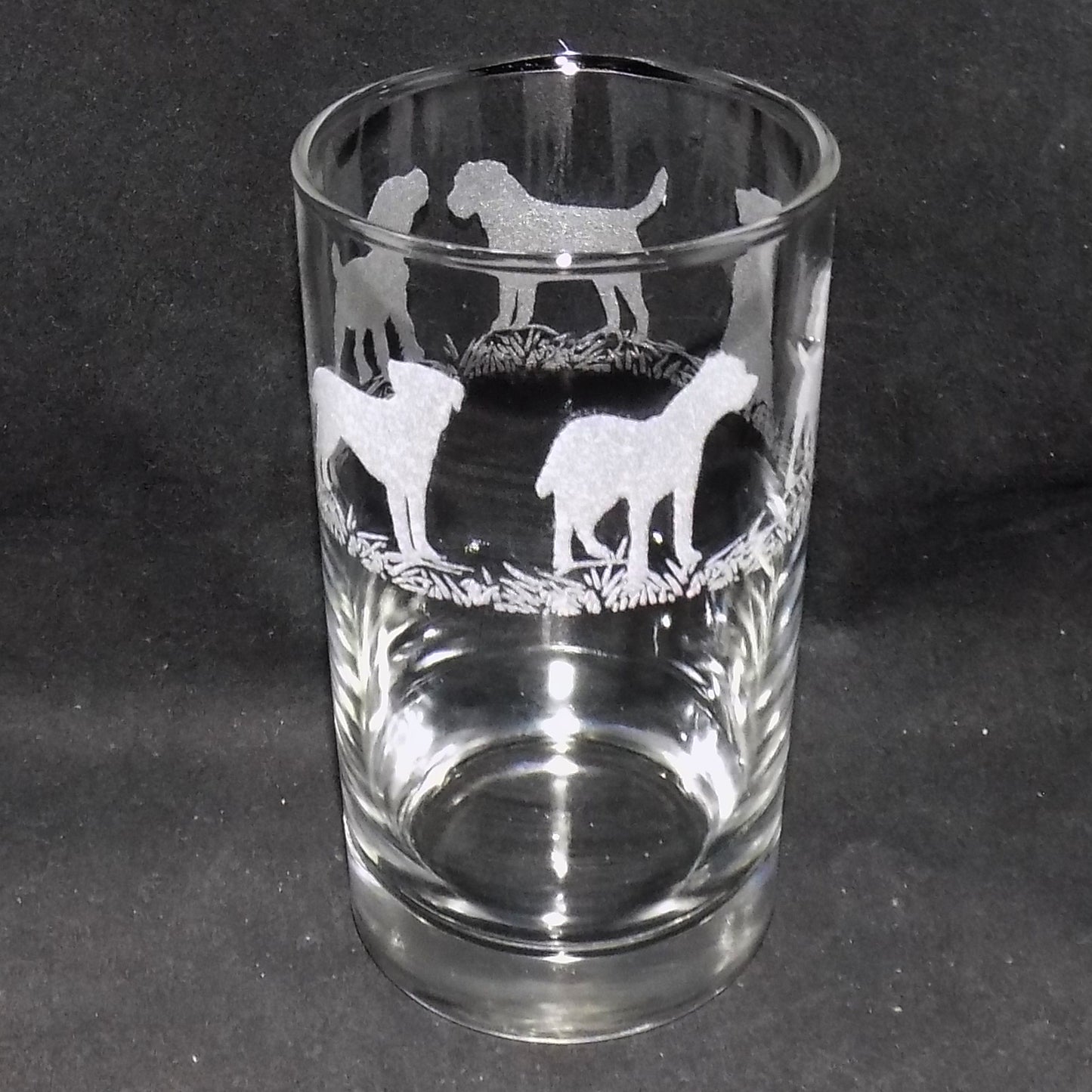 Border Terrier Tall Glass