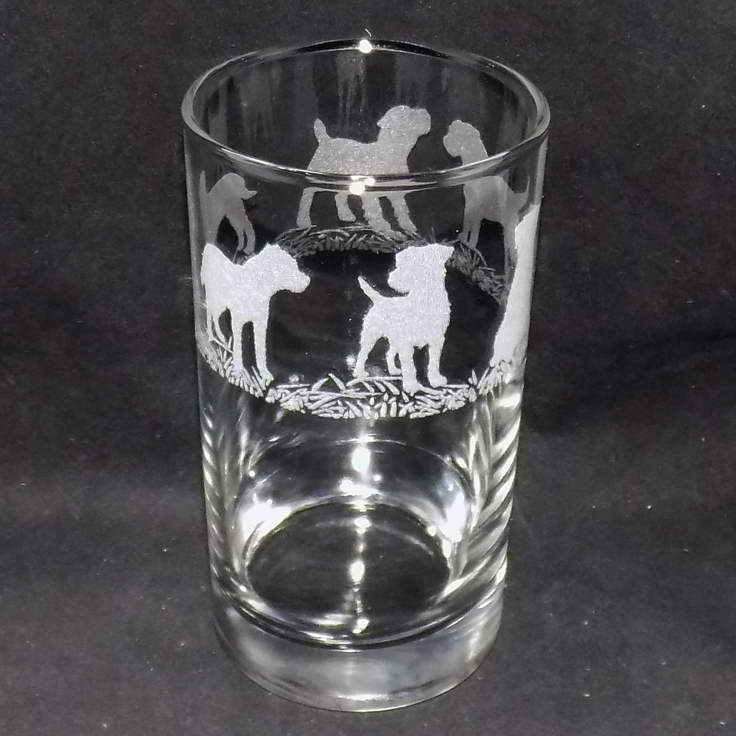 Border Terrier Tall Glass