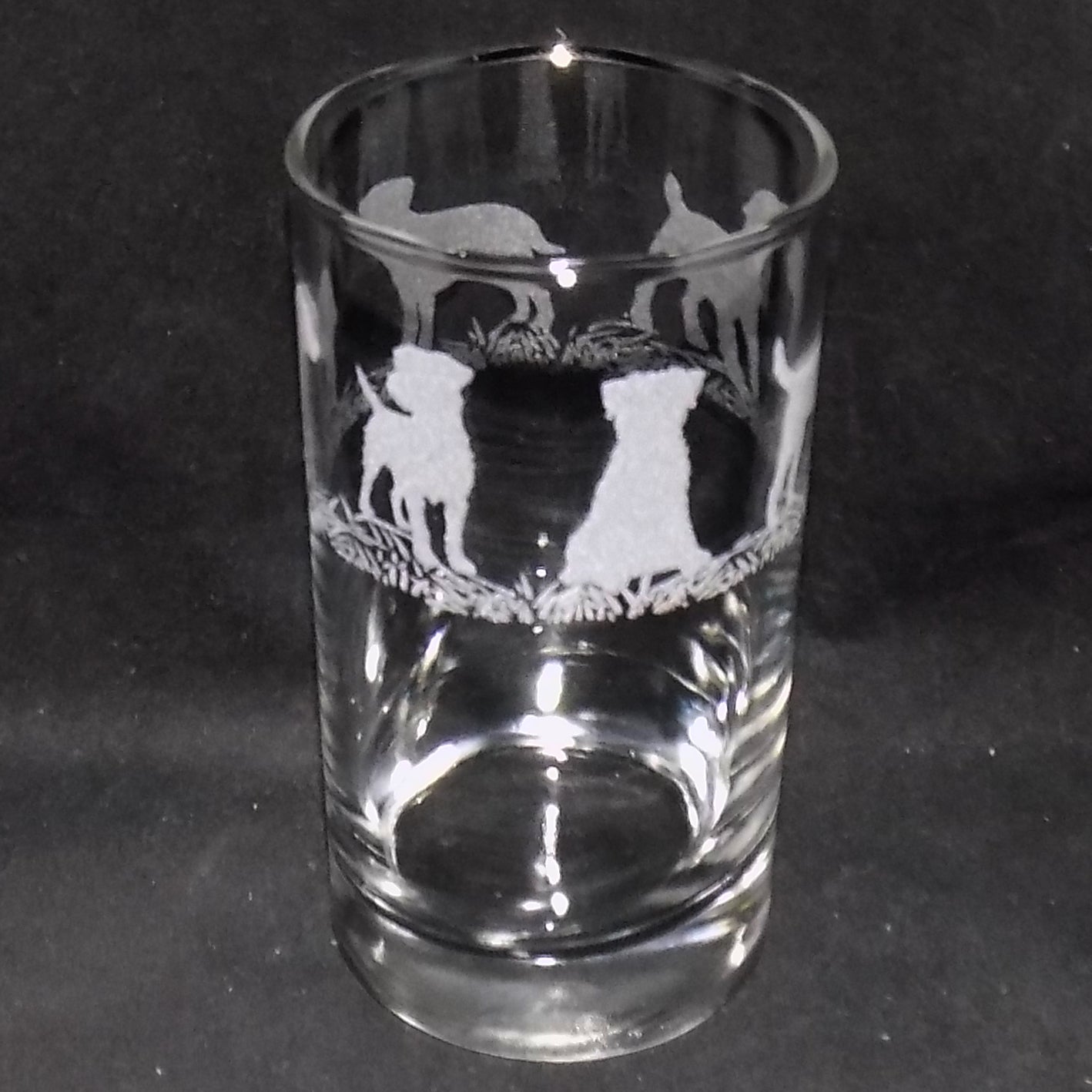 Border Terrier Tall Glass
