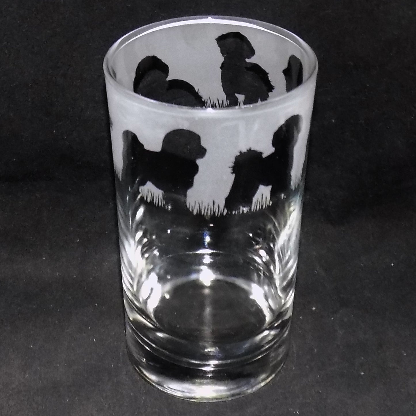 Bichon Frise Tall Glass