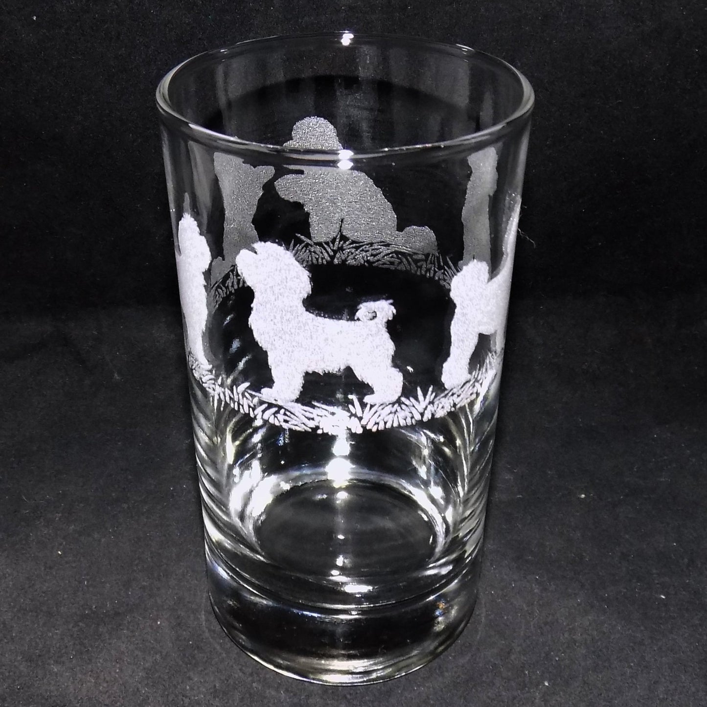 Bichon Frise Tall Glass