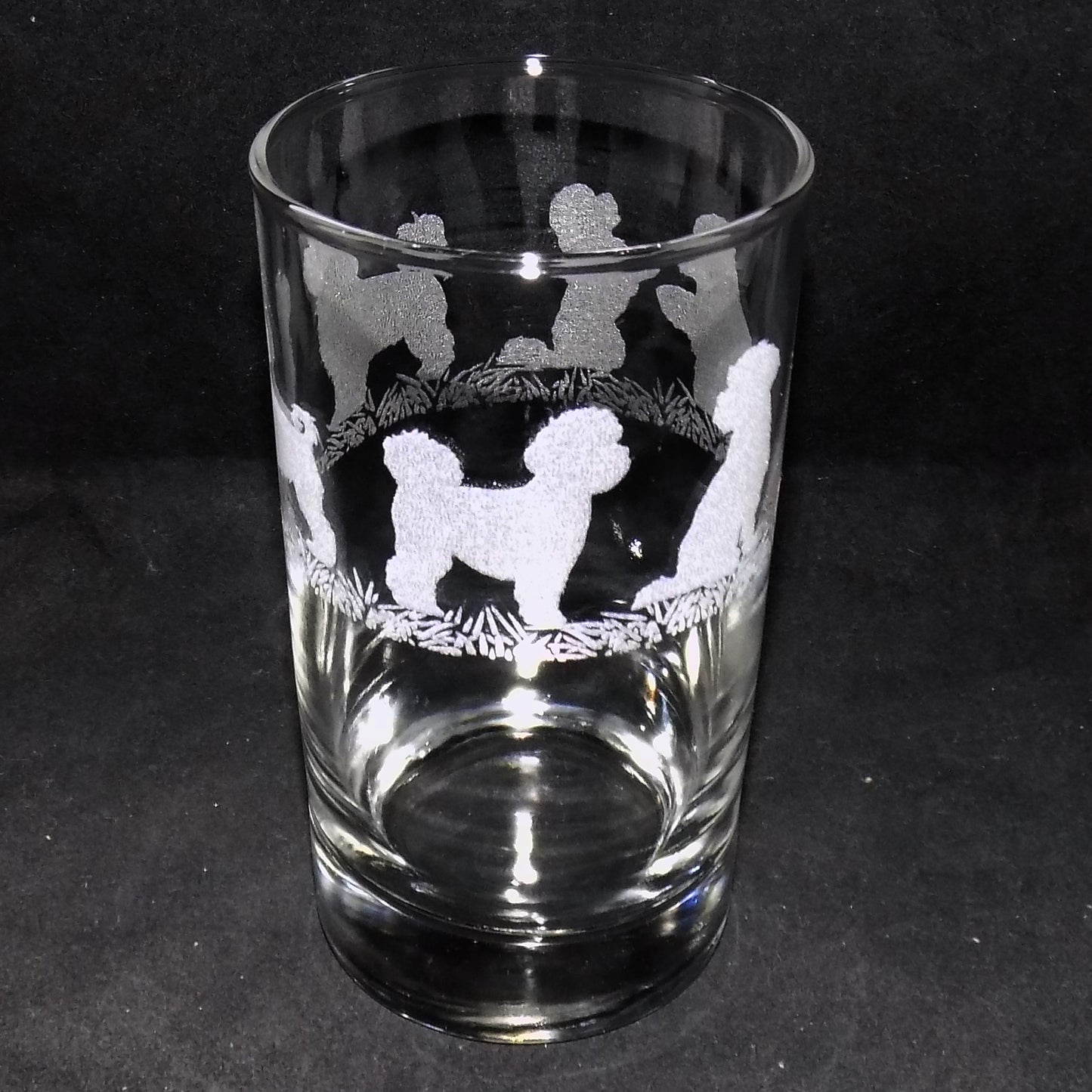 Bichon Frise Tall Glass