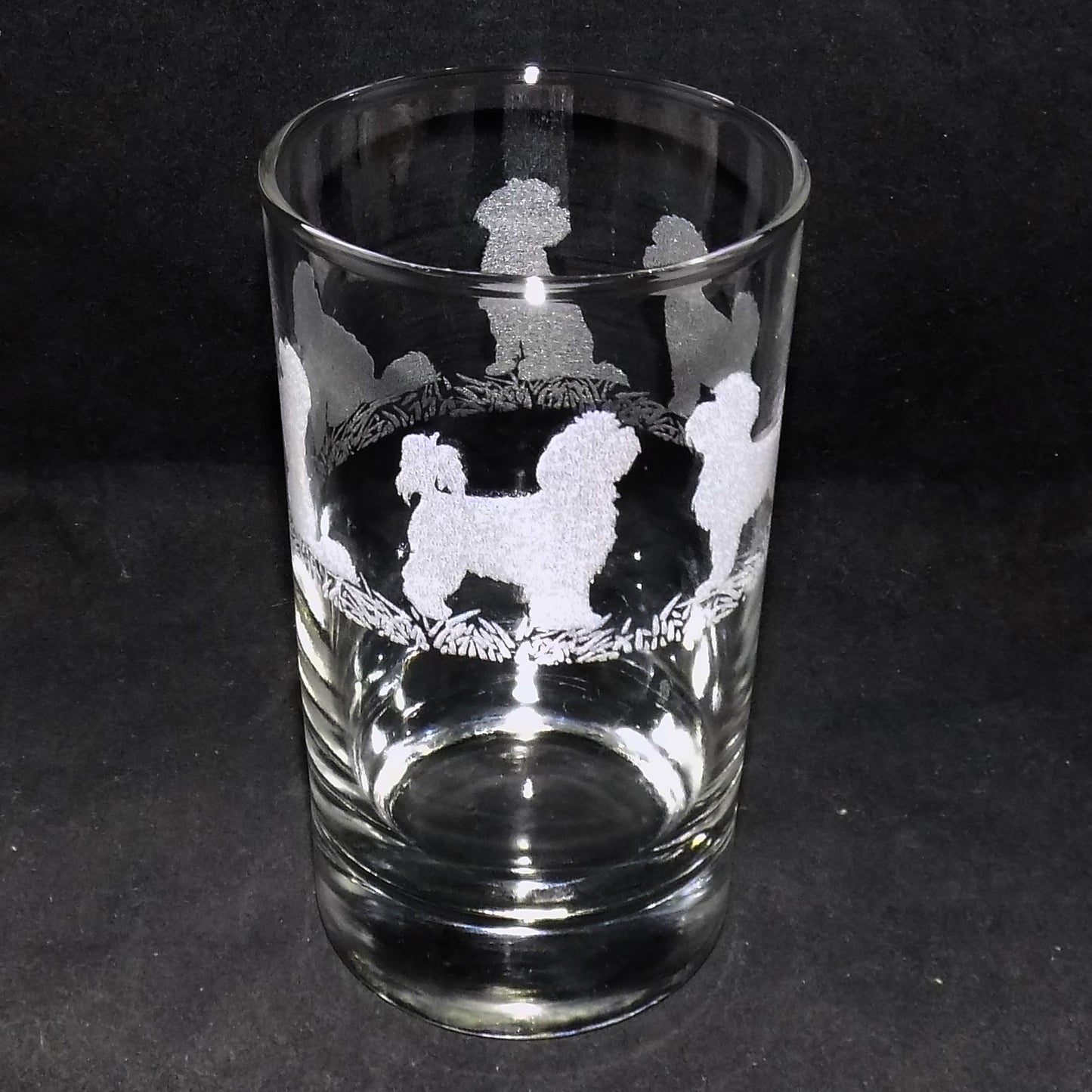 Bichon Frise Tall Glass