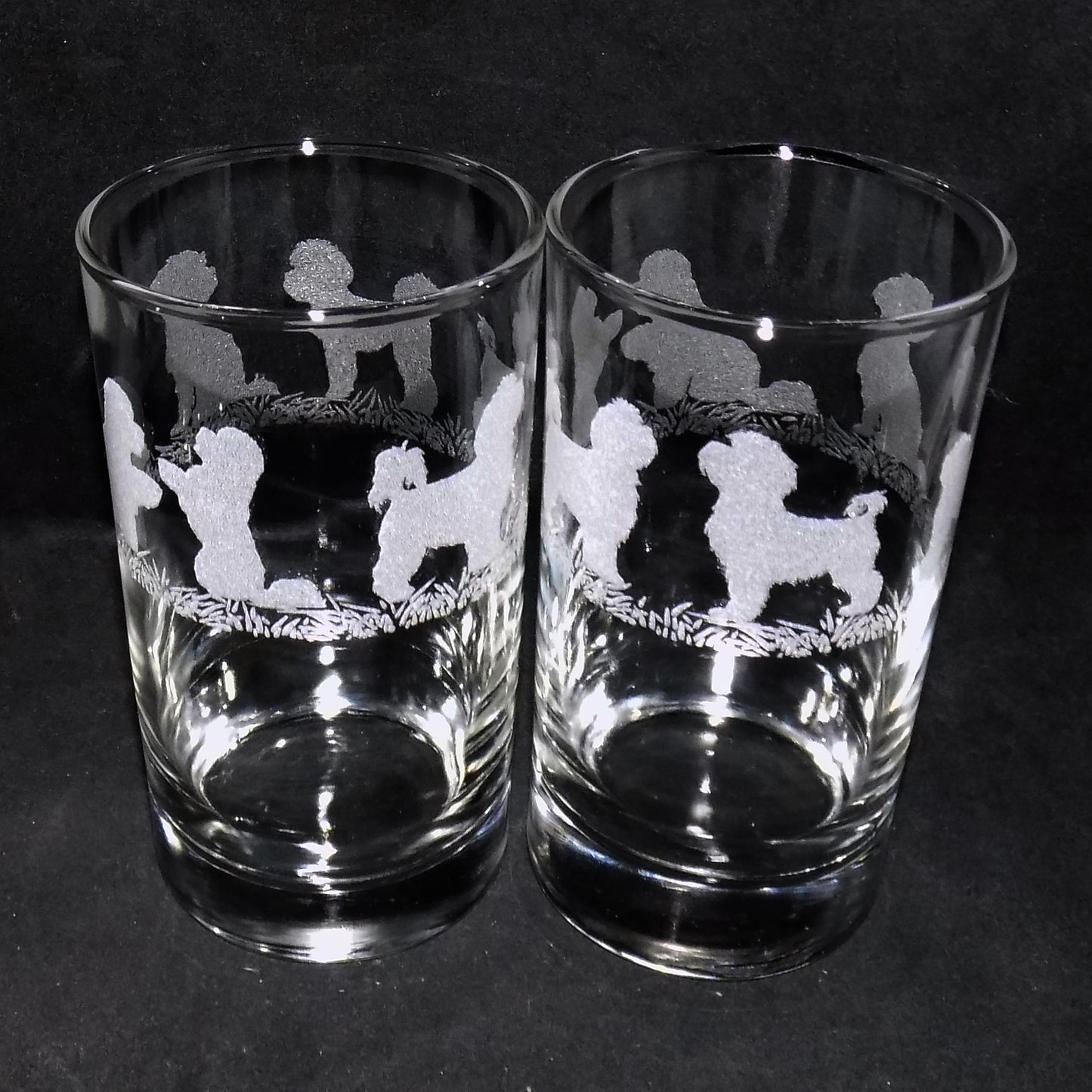 Bichon Frise Tall Glass