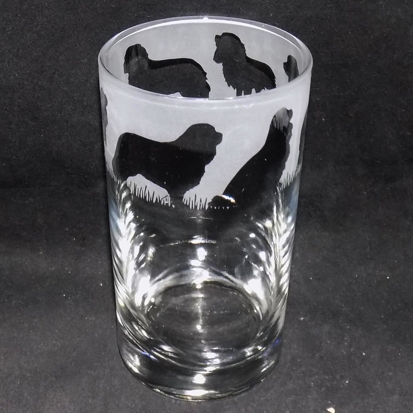 Cavalier King Charles Tall Glass