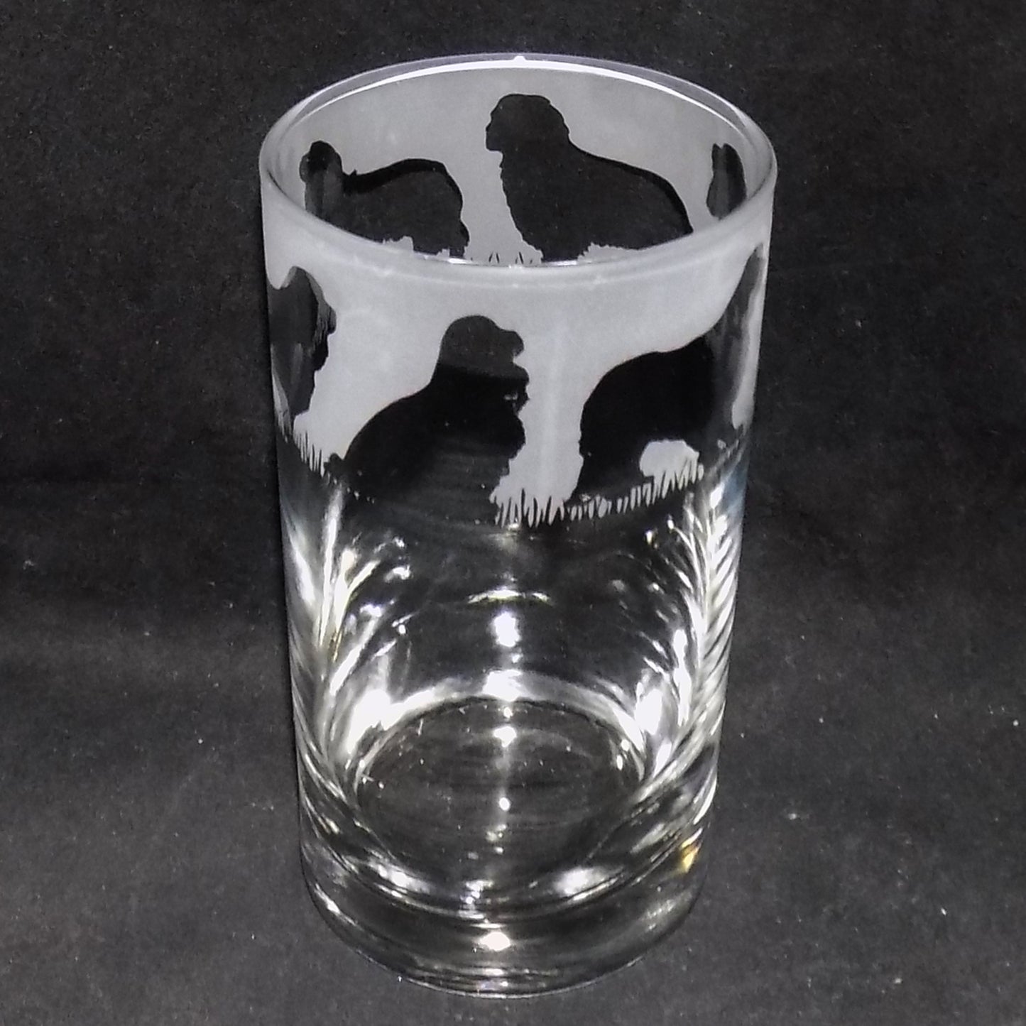 Cavalier King Charles Tall Glass
