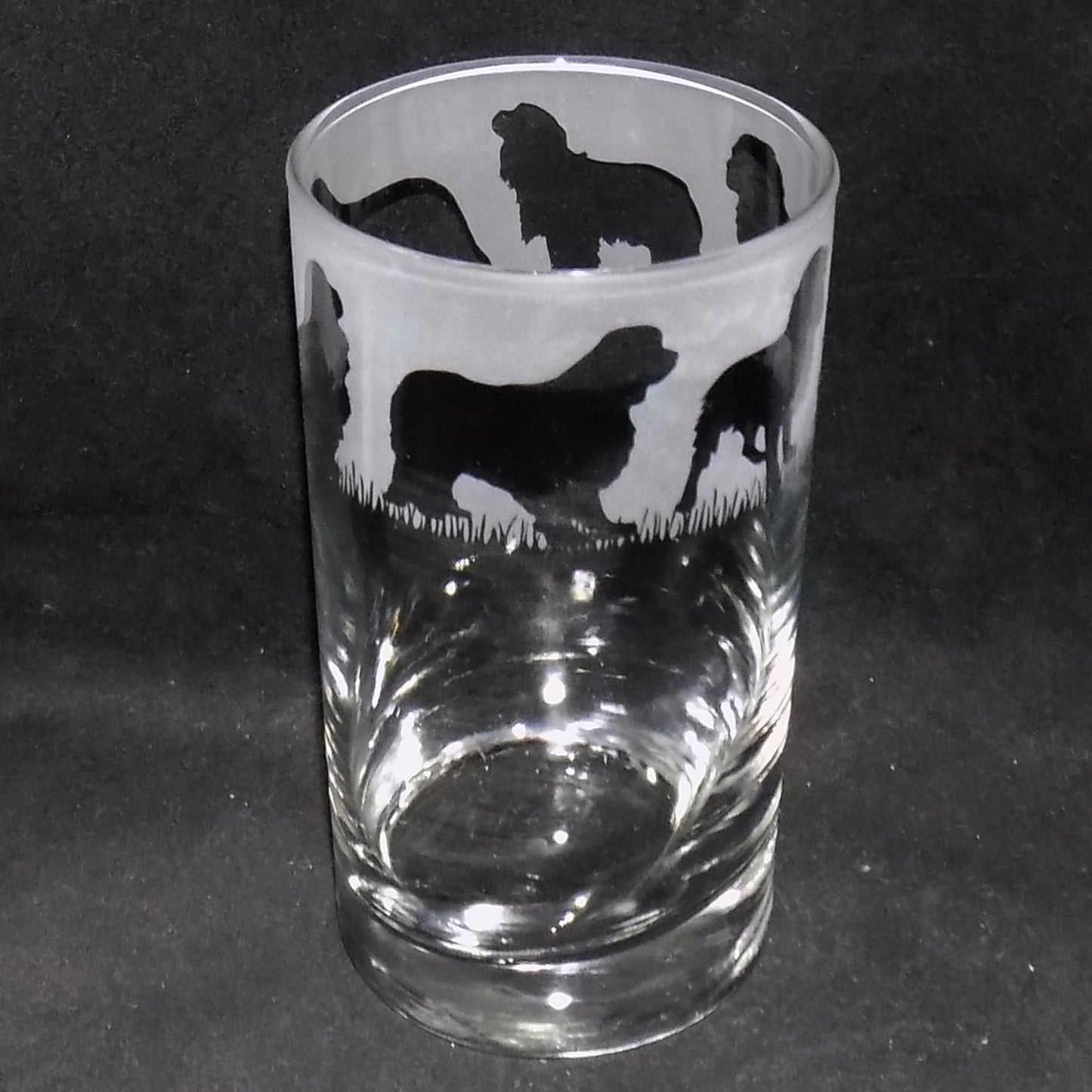 Cavalier King Charles Tall Glass