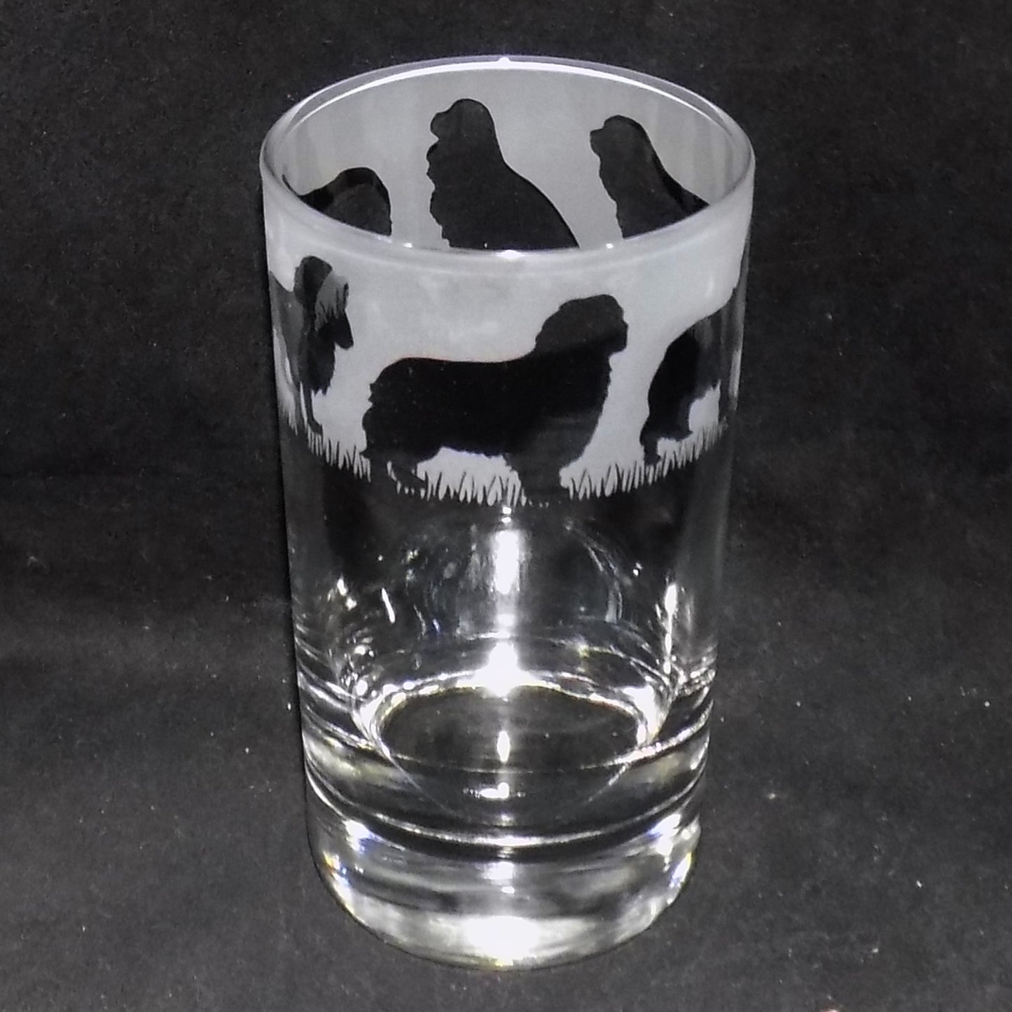 Cavalier King Charles Tall Glass