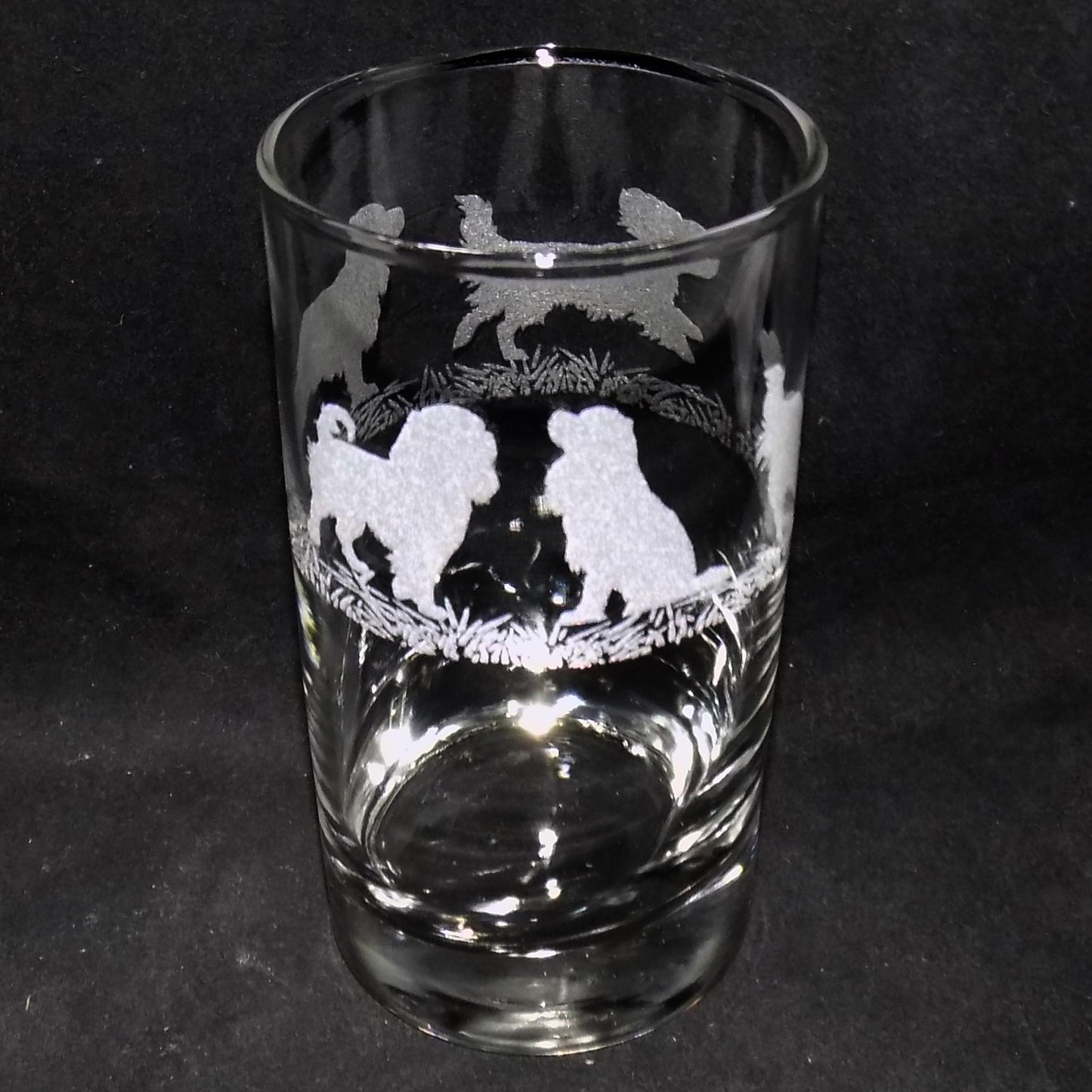 Cavalier King Charles Tall Glass