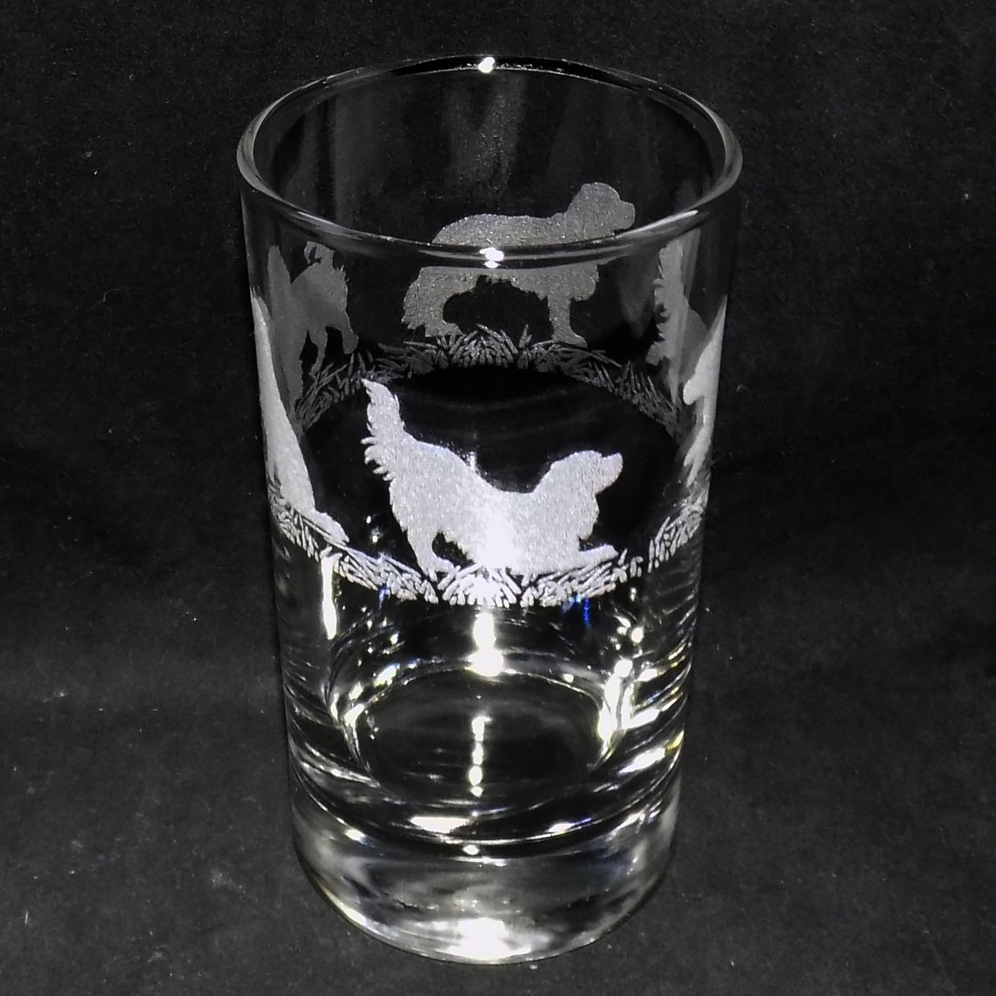 Cavalier King Charles Tall Glass
