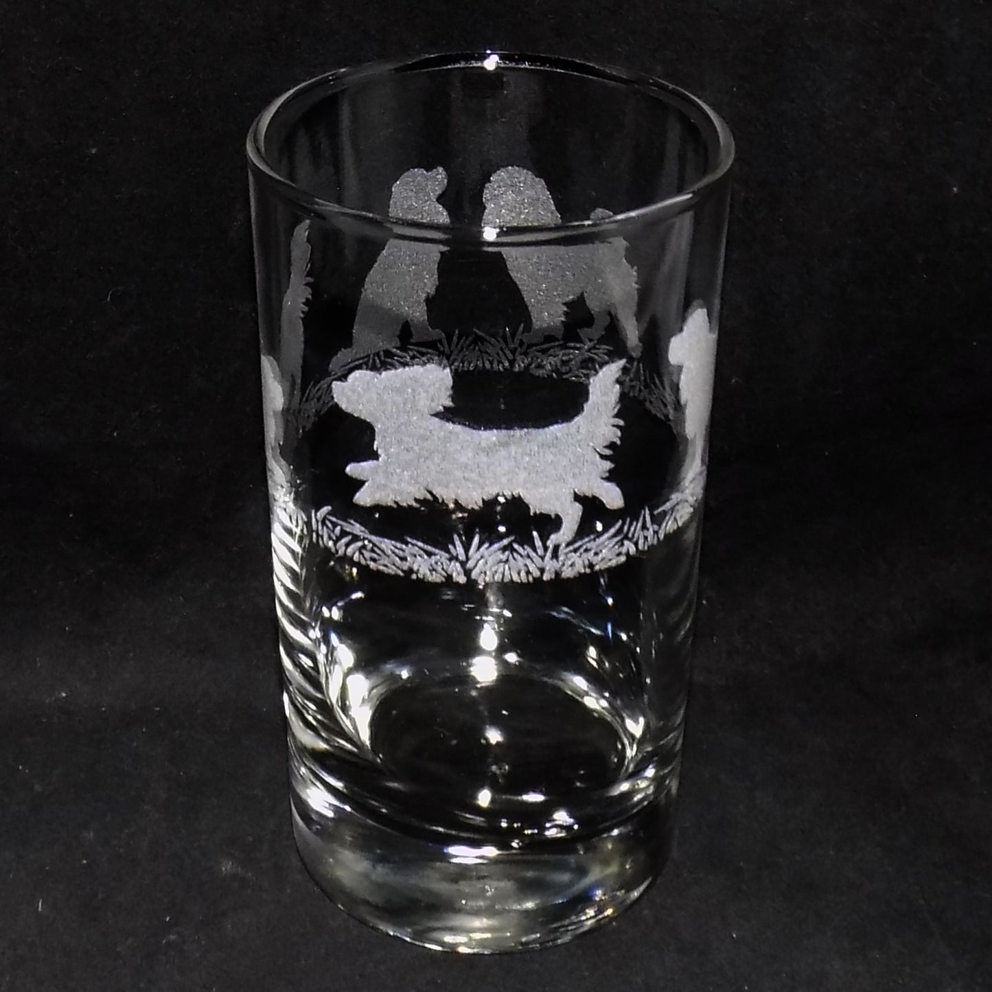 Cavalier King Charles Tall Glass