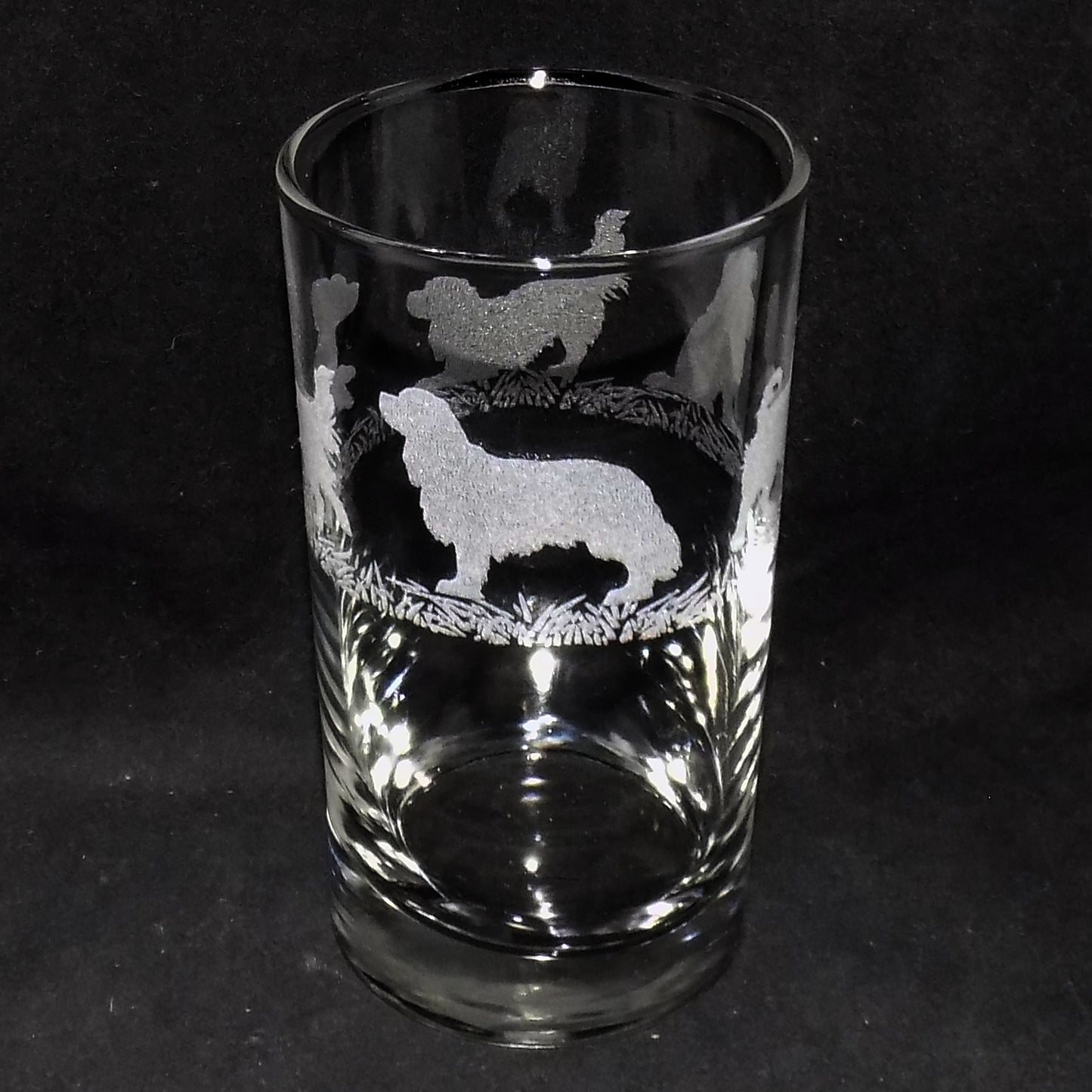 Cavalier King Charles Tall Glass