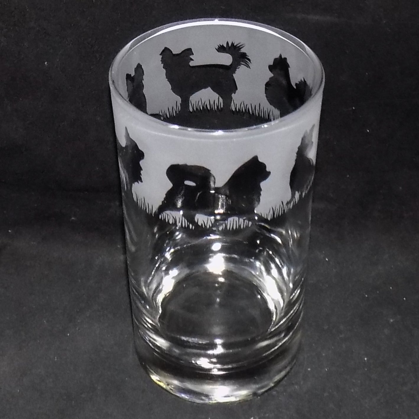 Chihuahua (Long Haired) Tall Glass