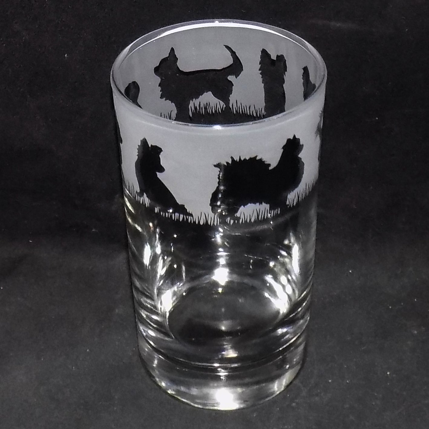 Chihuahua (Long Haired) Tall Glass