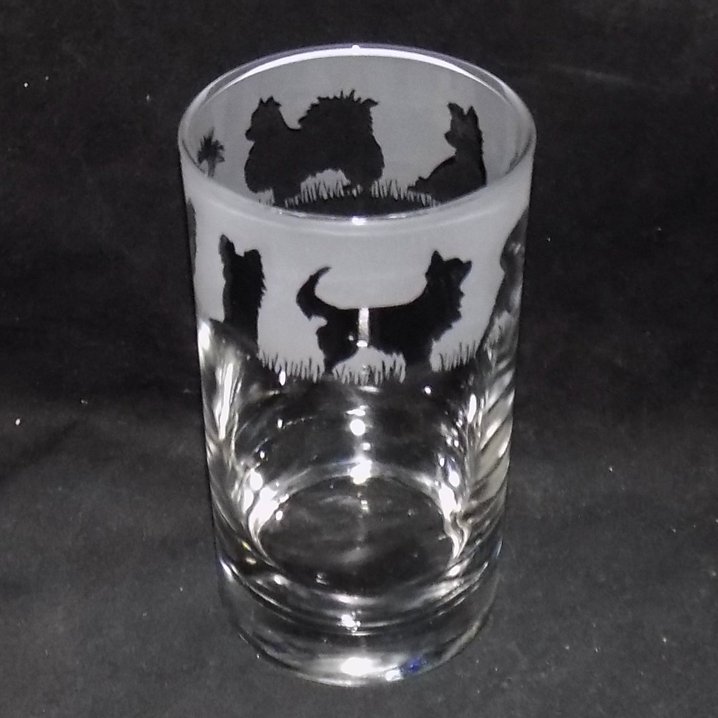 Chihuahua (Long Haired) Tall Glass