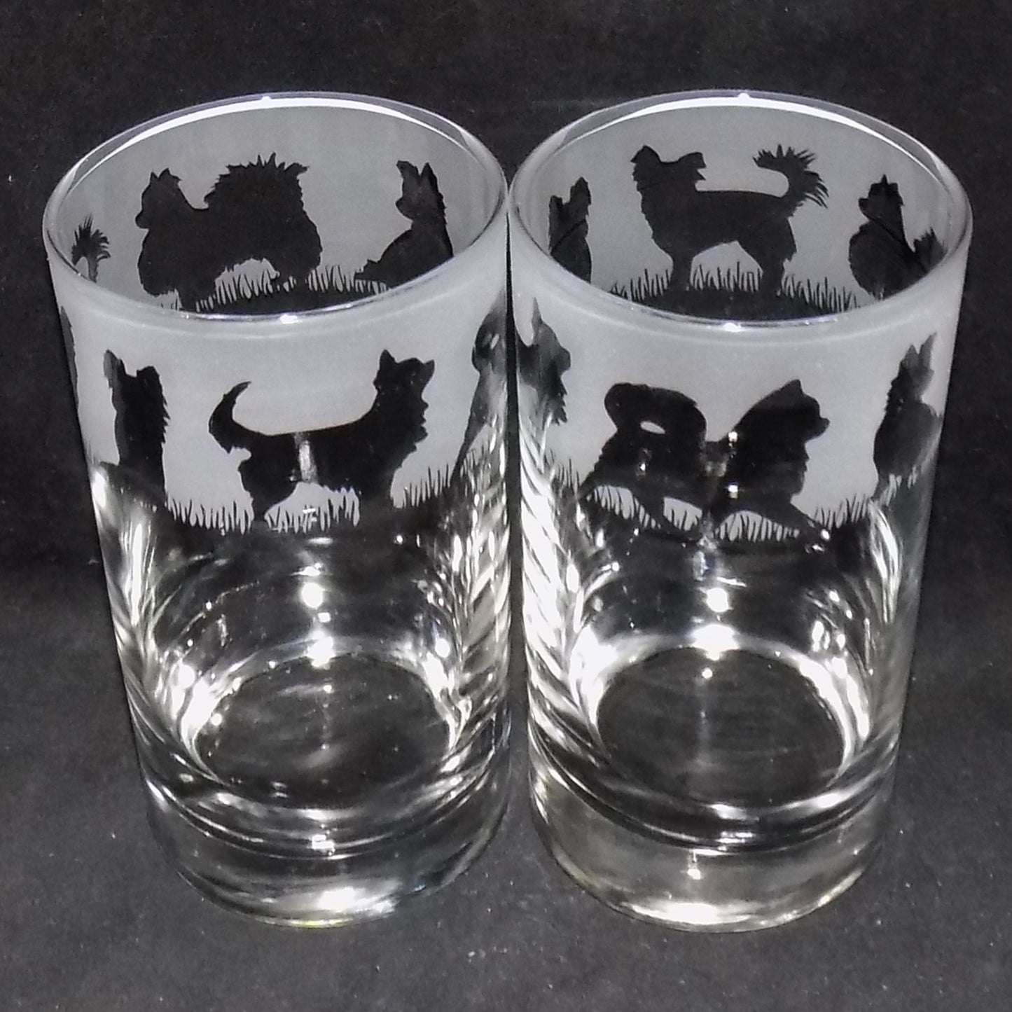 Chihuahua (Long Haired) Tall Glass