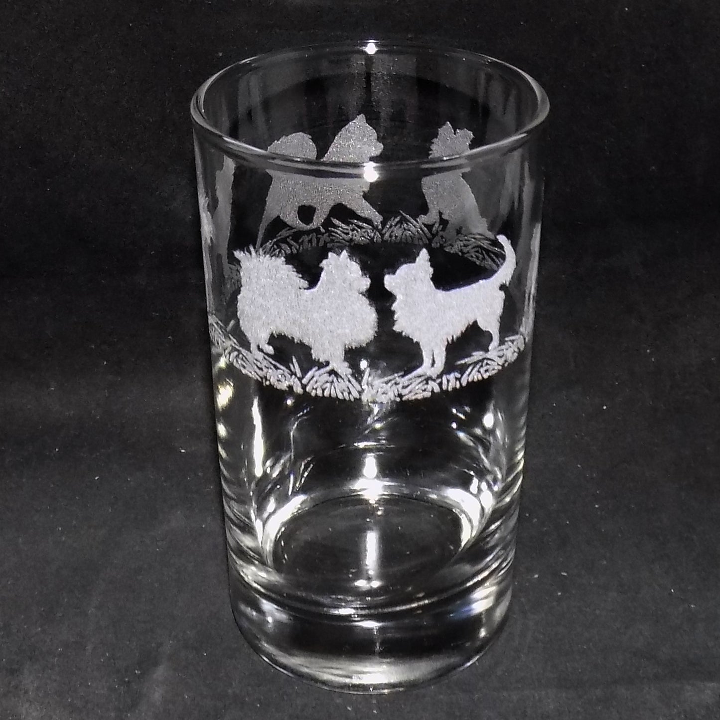 Chihuahua (Long Haired) Tall Glass