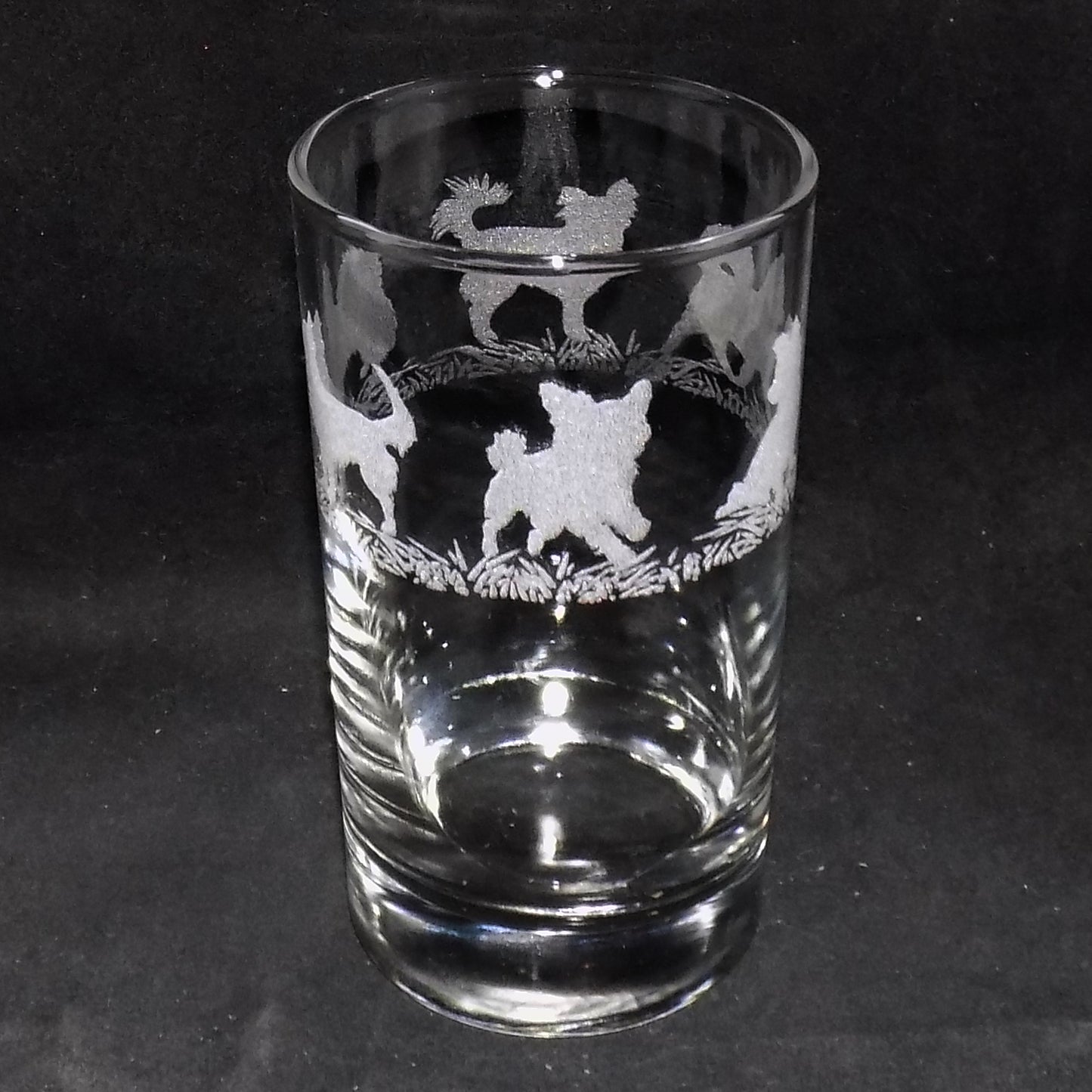 Chihuahua (Long Haired) Tall Glass