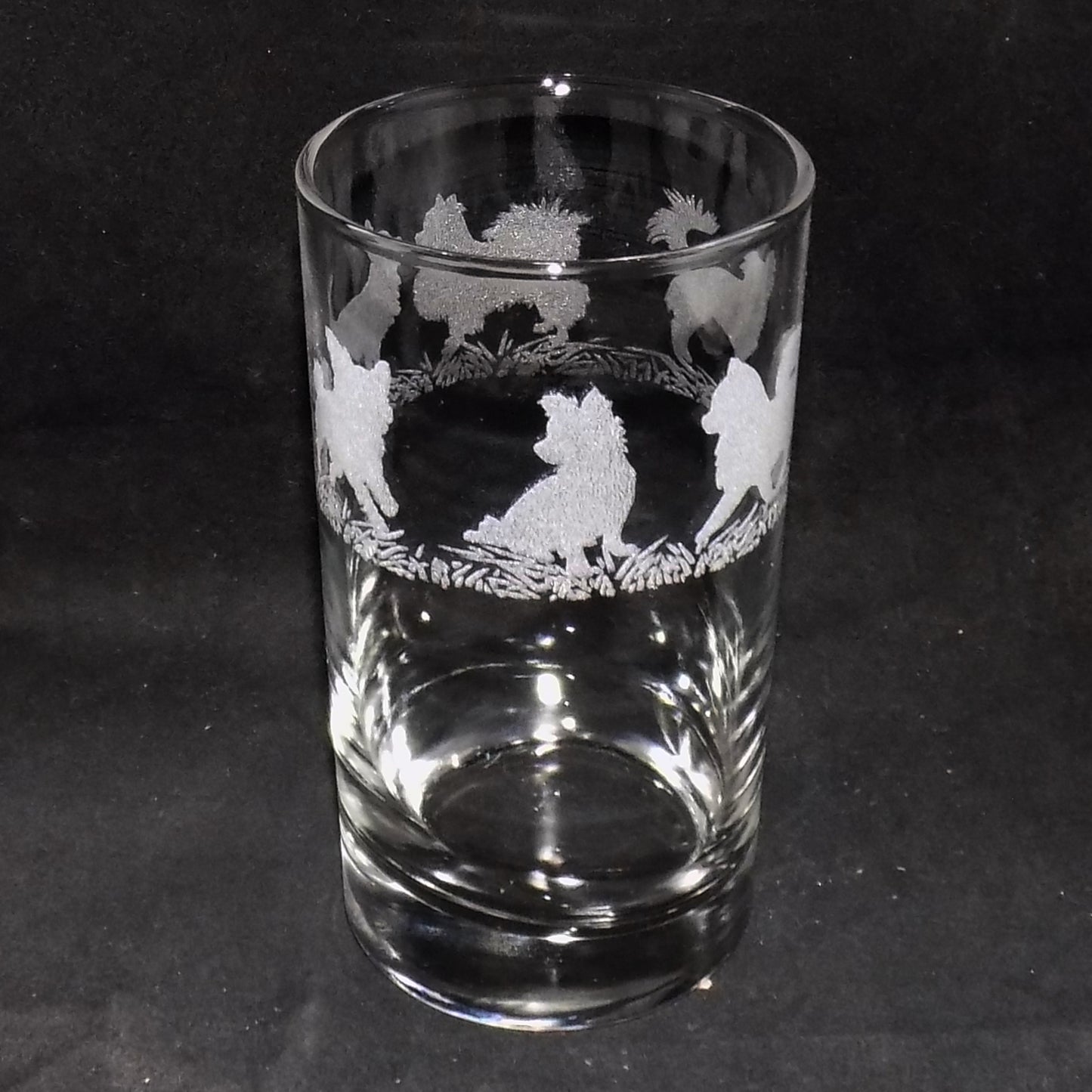 Chihuahua (Long Haired) Tall Glass