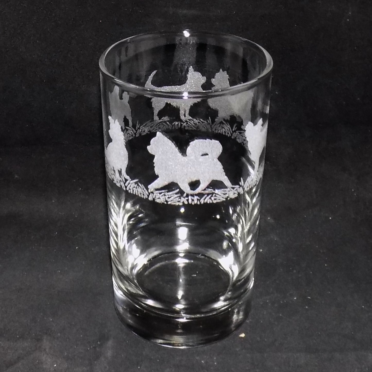 Chihuahua (Long Haired) Tall Glass
