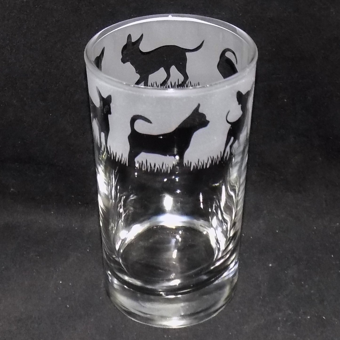 Chihuahua (Short Haired) Tall Glass