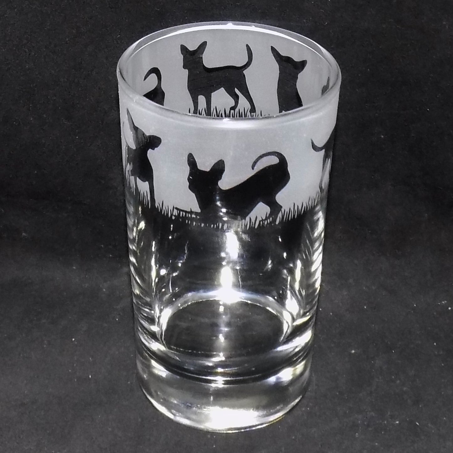 Chihuahua (Short Haired) Tall Glass