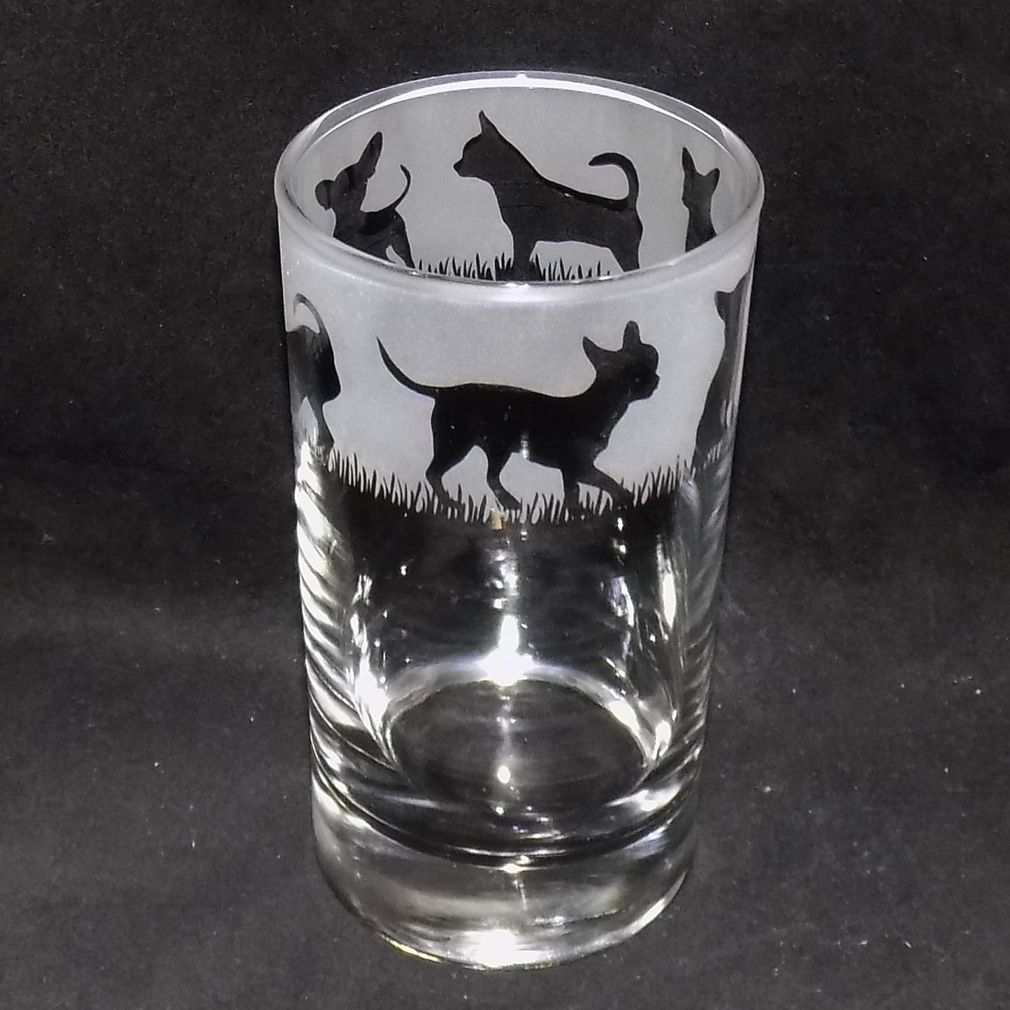 Chihuahua (Short Haired) Tall Glass