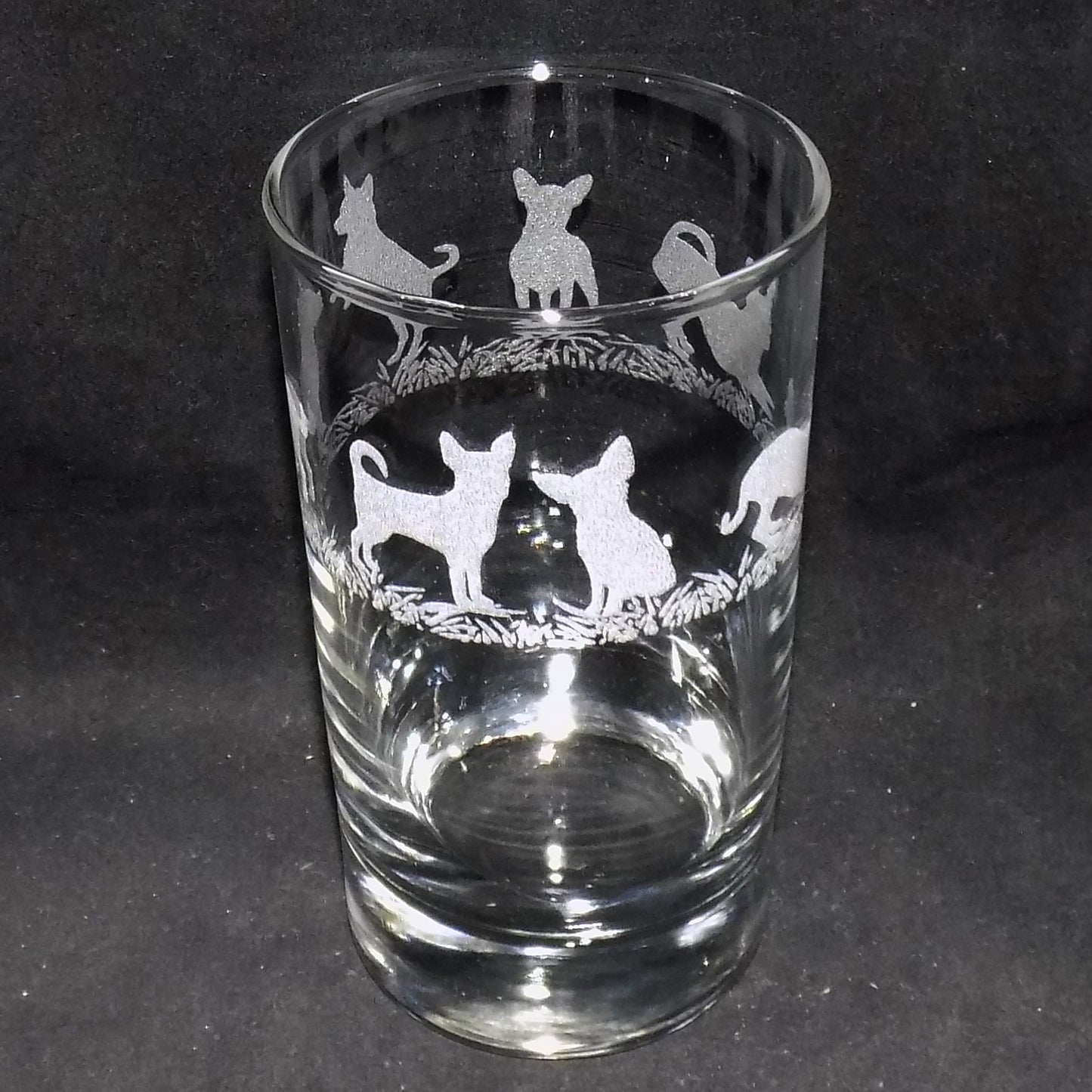 Chihuahua (Short Haired) Tall Glass