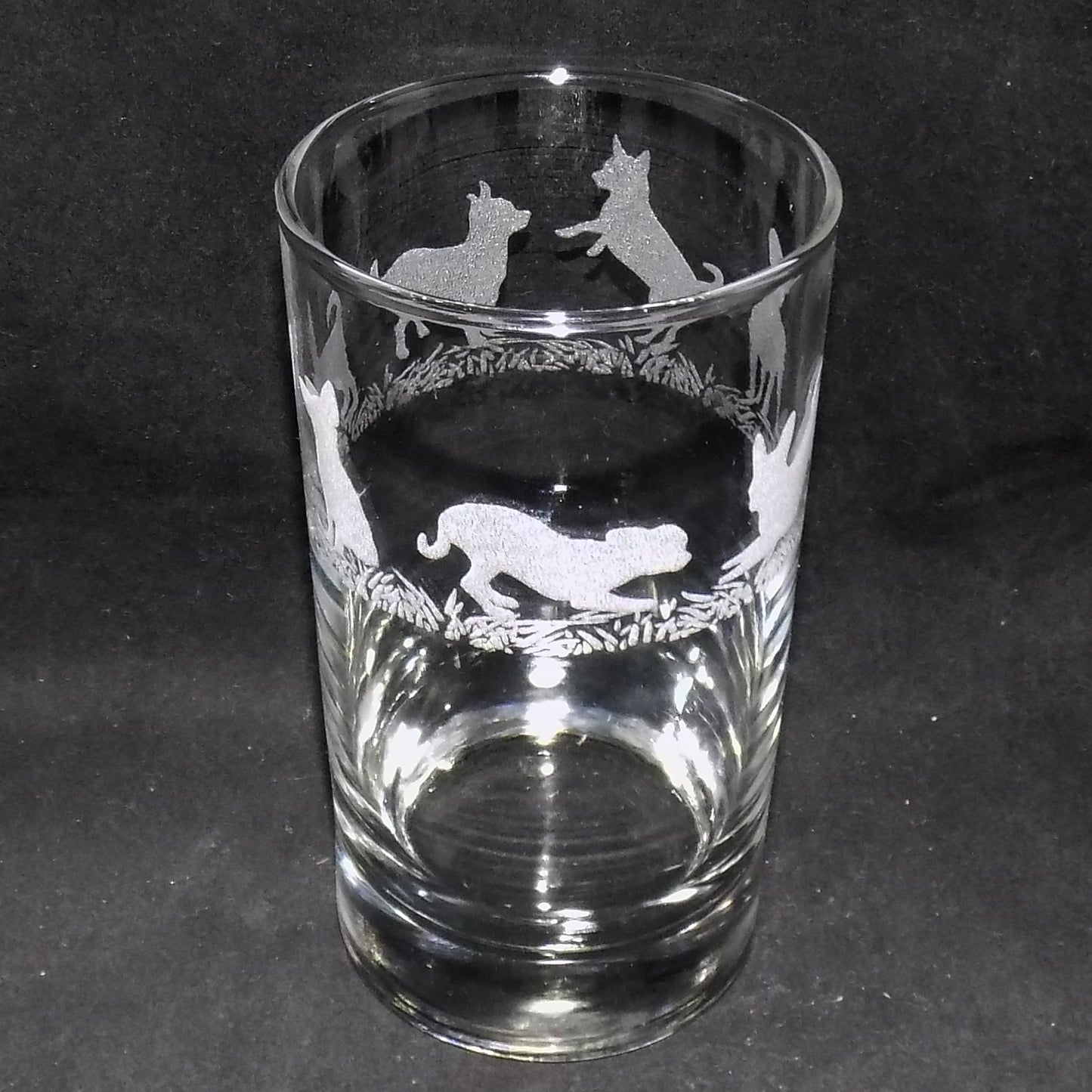 Chihuahua (Short Haired) Tall Glass