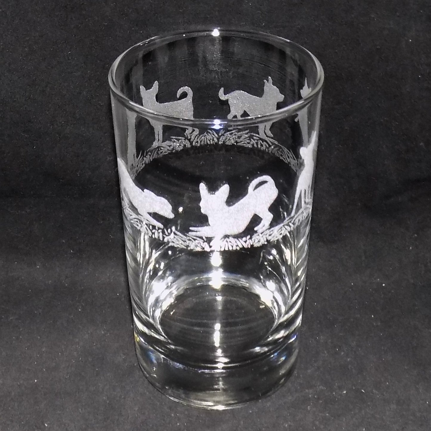 Chihuahua (Short Haired) Tall Glass