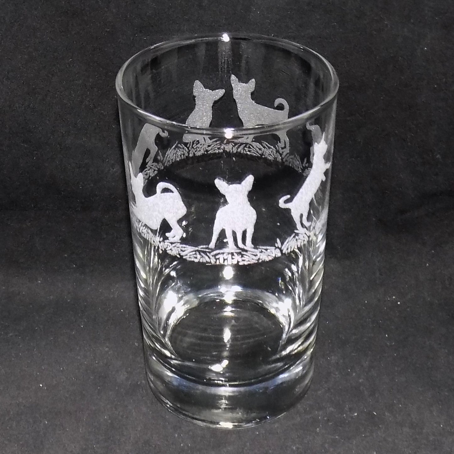 Chihuahua (Short Haired) Tall Glass