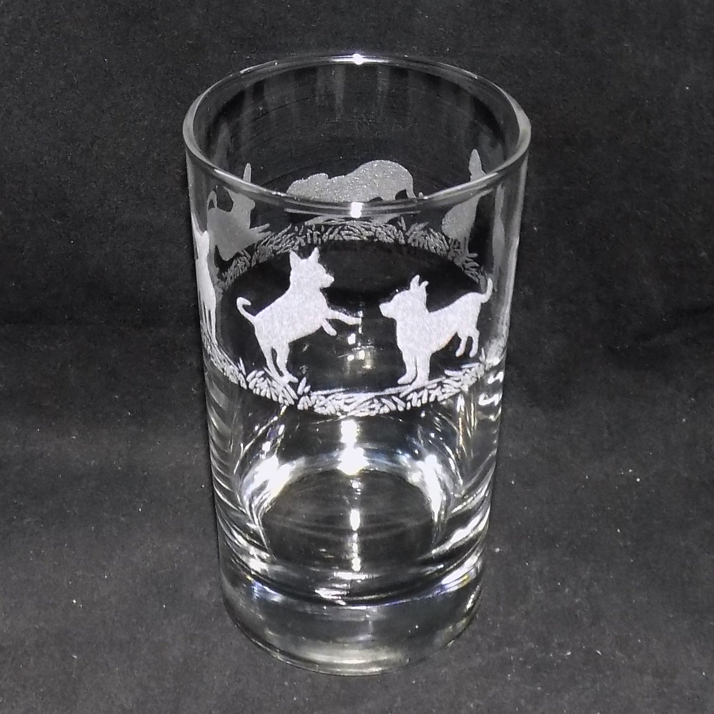 Chihuahua (Short Haired) Tall Glass