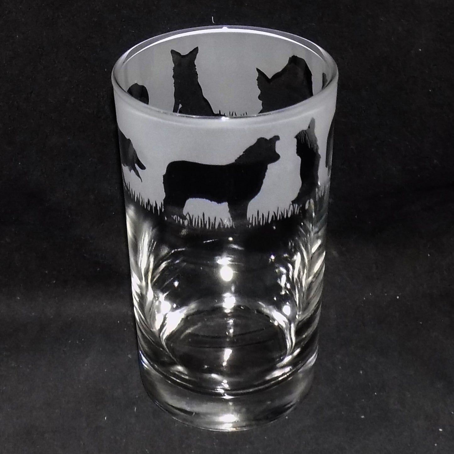Border Collie Tall Glass