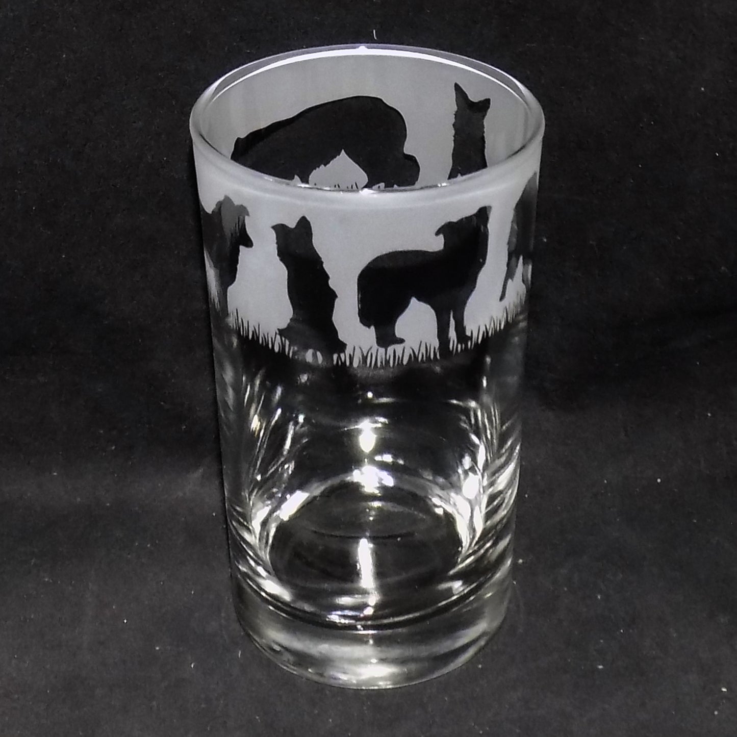 Border Collie Tall Glass