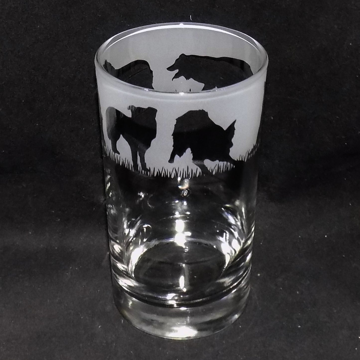 Border Collie Tall Glass