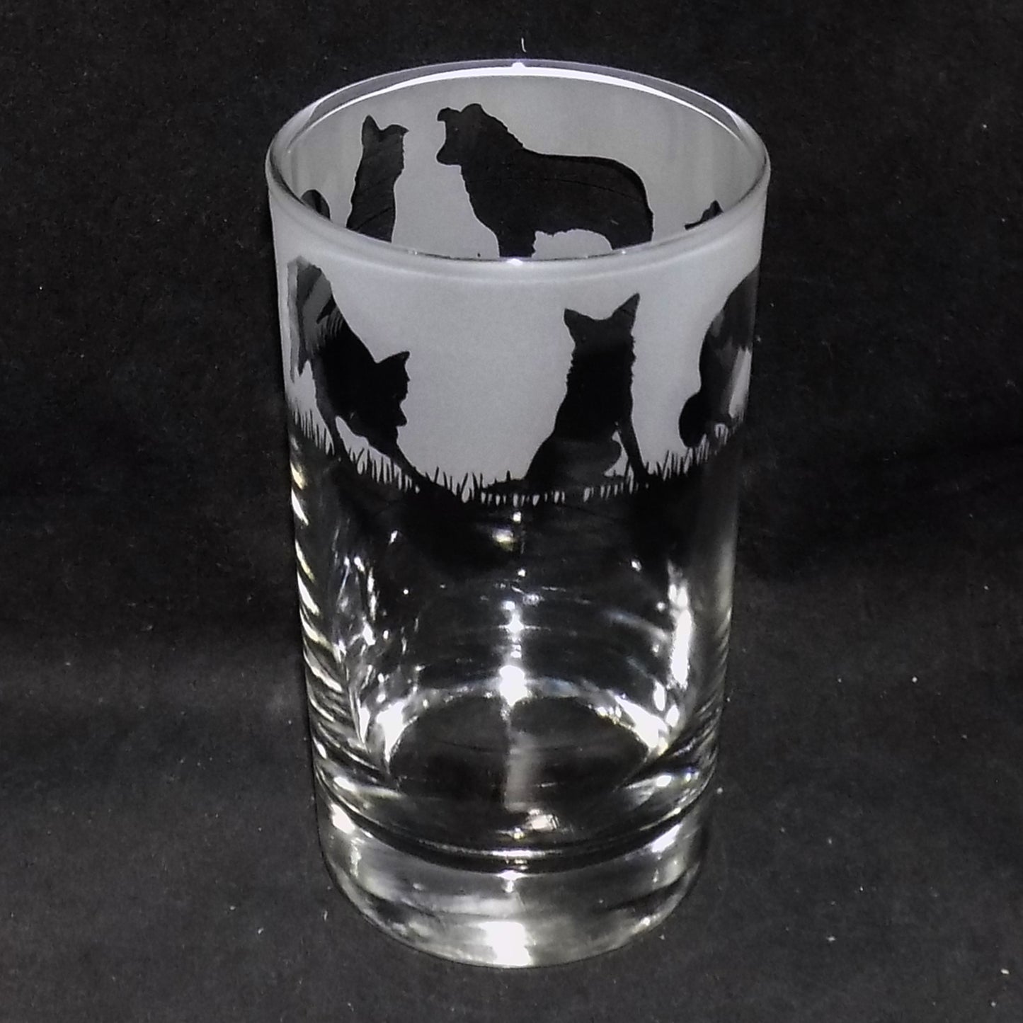 Border Collie Tall Glass