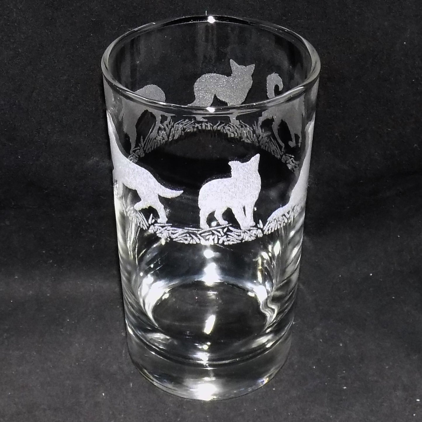 Border Collie Tall Glass