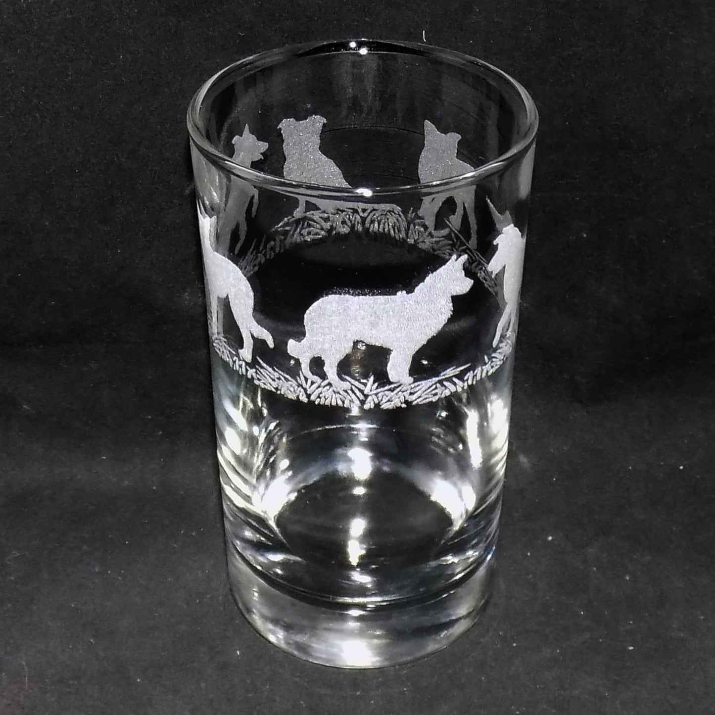 Border Collie Tall Glass