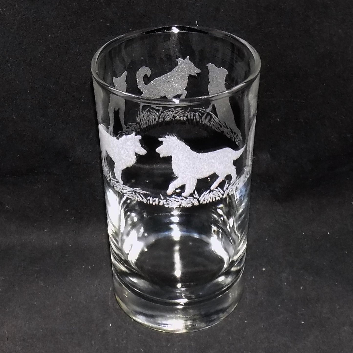 Border Collie Tall Glass