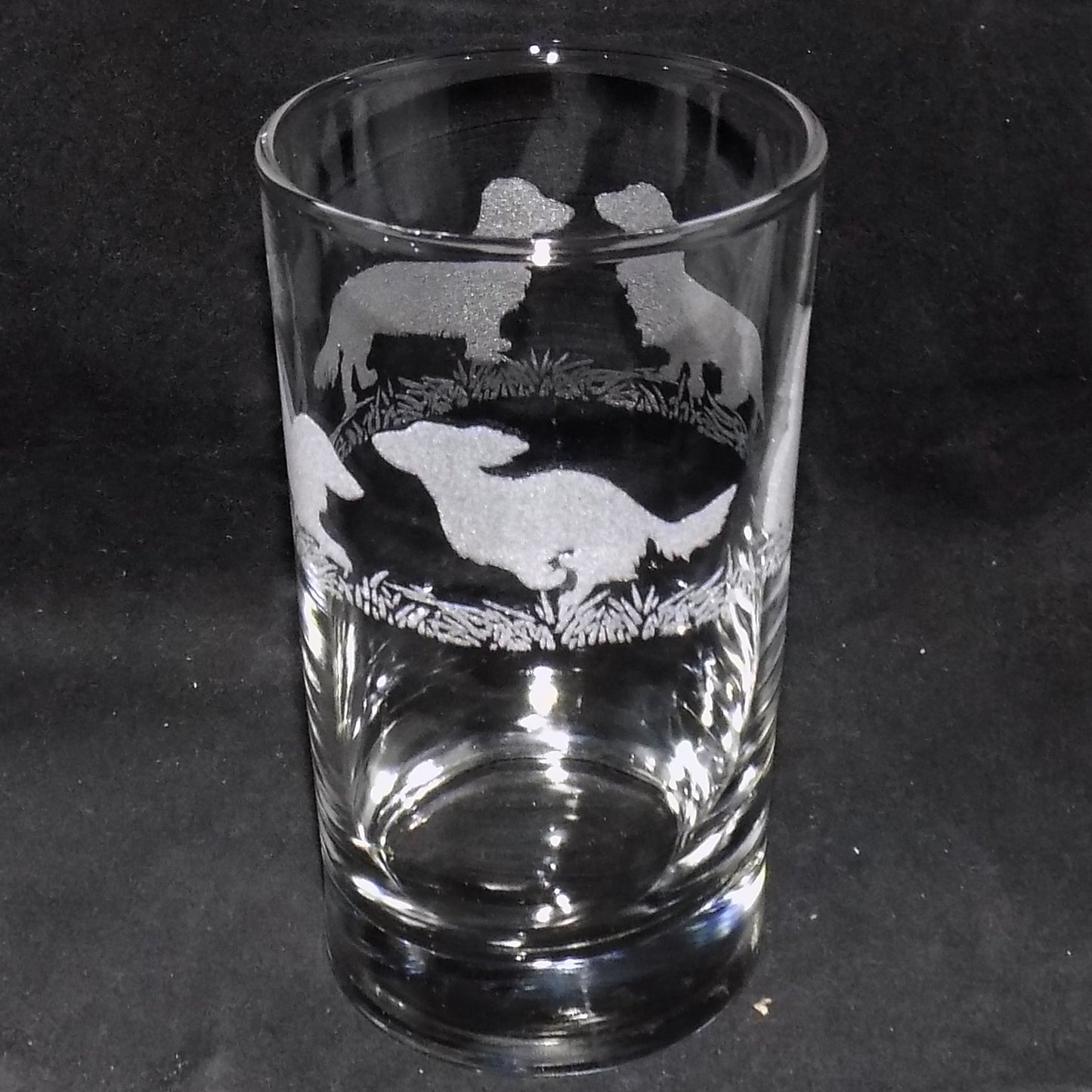 Dachshund (Long Haired) Tall Glass