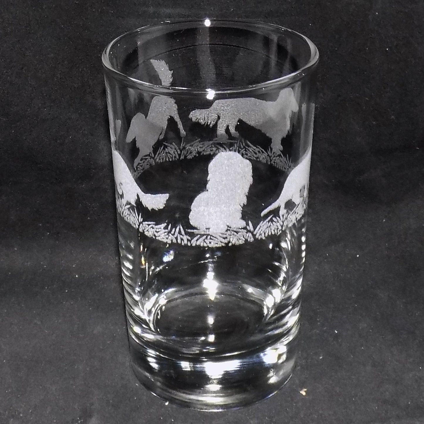 Dachshund (Long Haired) Tall Glass