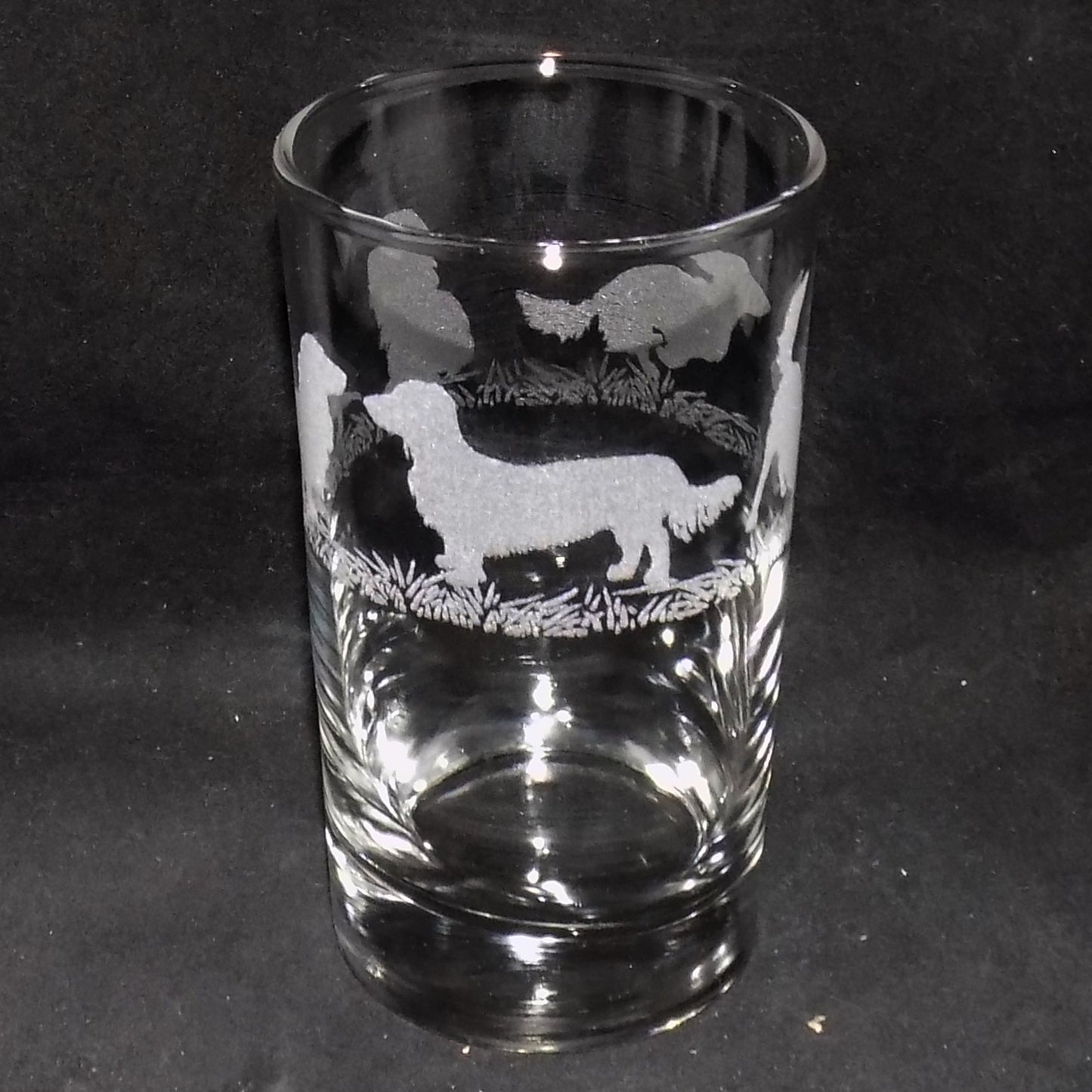 Dachshund (Long Haired) Tall Glass
