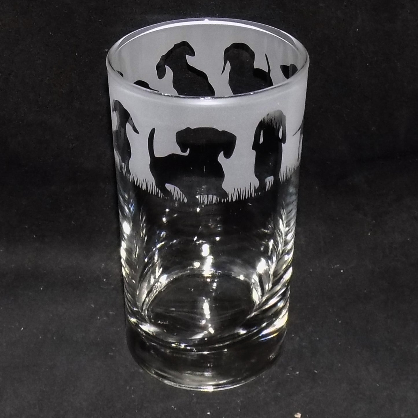 Dachshund (Short Haired) Tall Glass