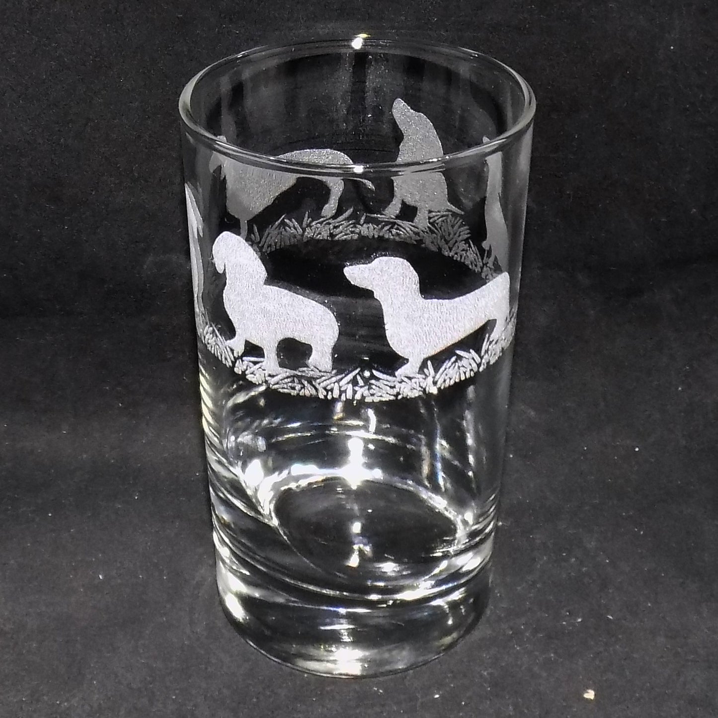 Dachshund (Short Haired) Tall Glass